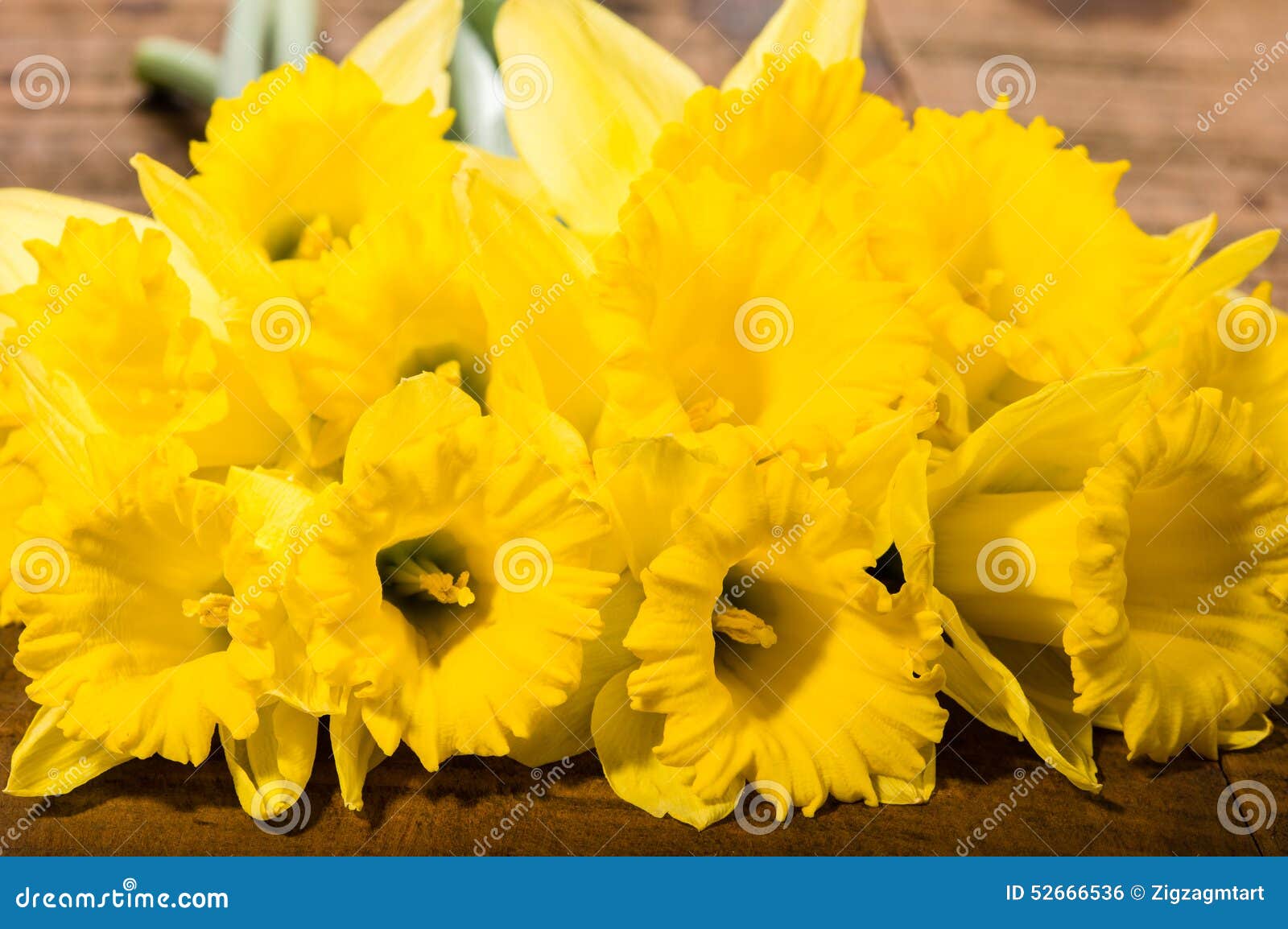 Bouquet of Yellow Daffodils Stock Photo Image of bloom, bouquet 52666536