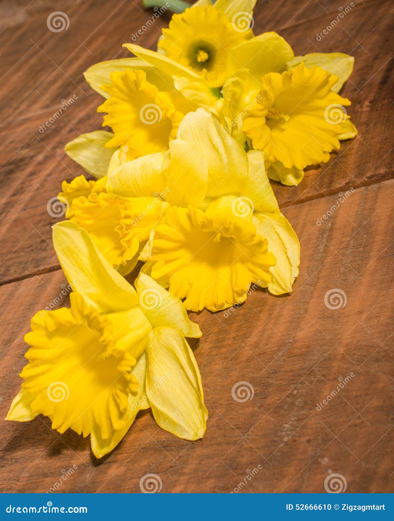 Bouquet of Yellow Daffodils Stock Photo Image of flower, flowering