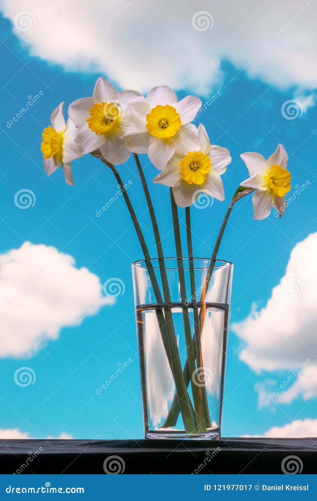 Bouquet Daffodils on Blue Sky Stock Image - Image of fresh, daffodils ...