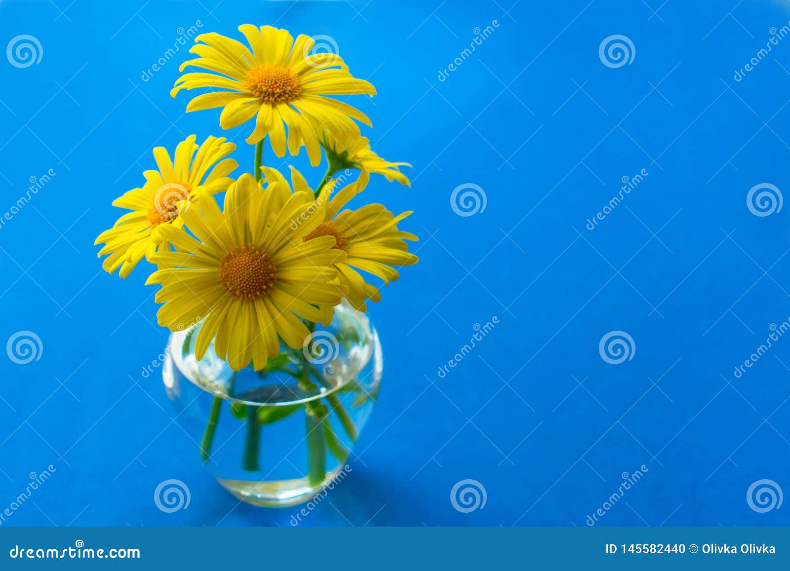 Yellow Daisies in a Small Vase on a Blue Background Stock Photo - Image ...