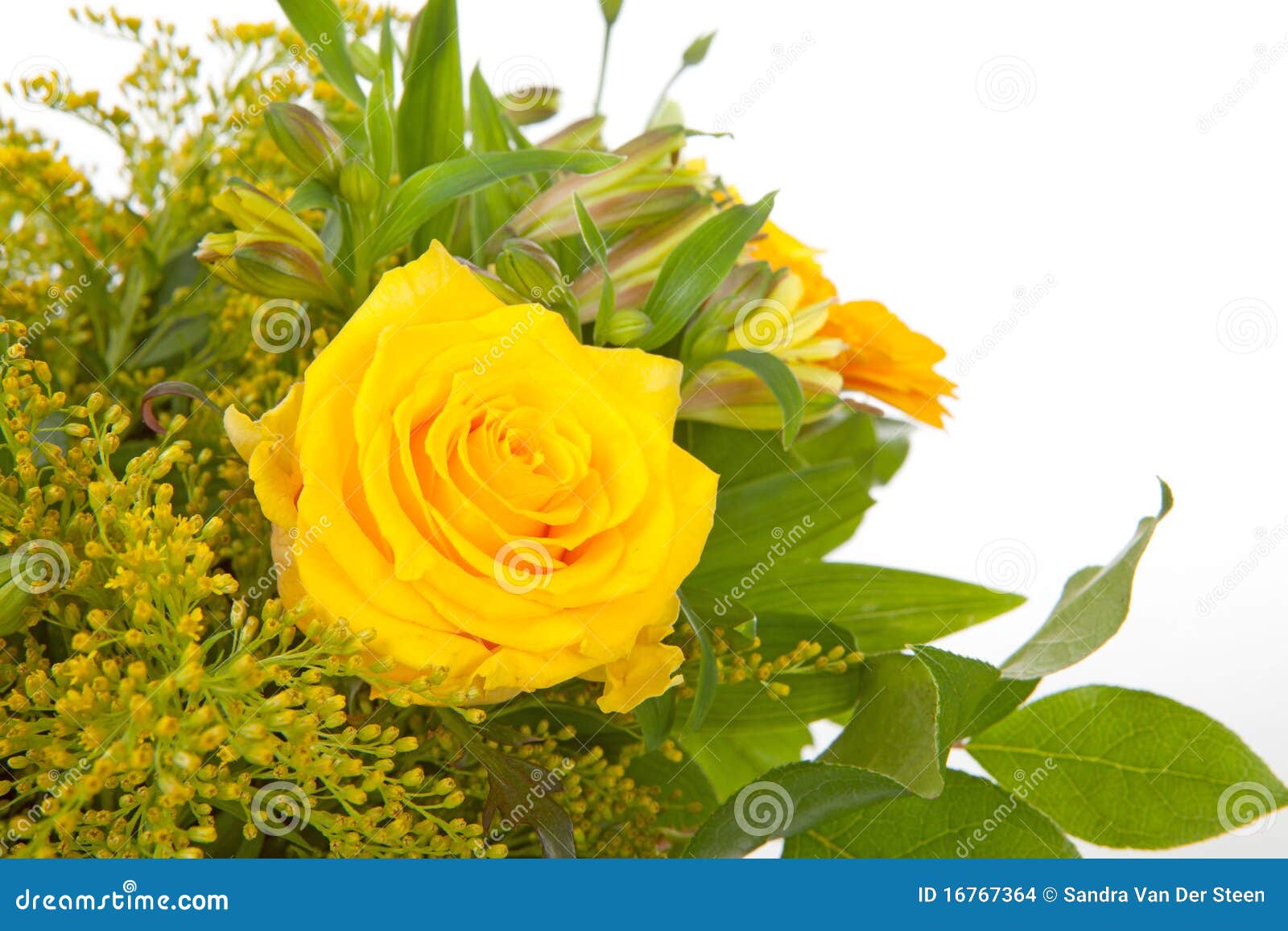 Bouquet of yellow flowers stock photo. Image of nature 16767364