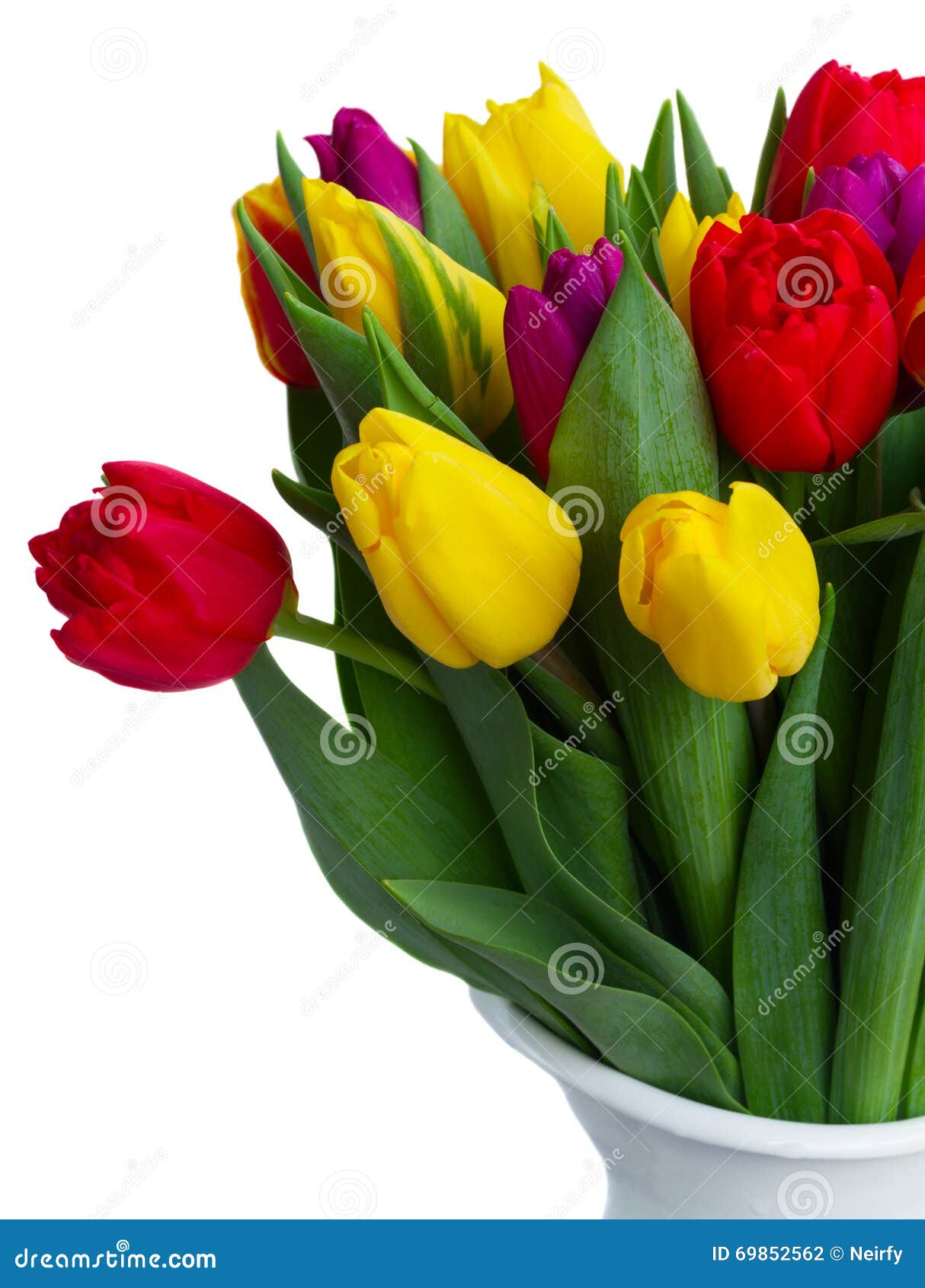 Bouquet of Yellow, Purple and Red Tulips Stock Photo - Image of mothers ...