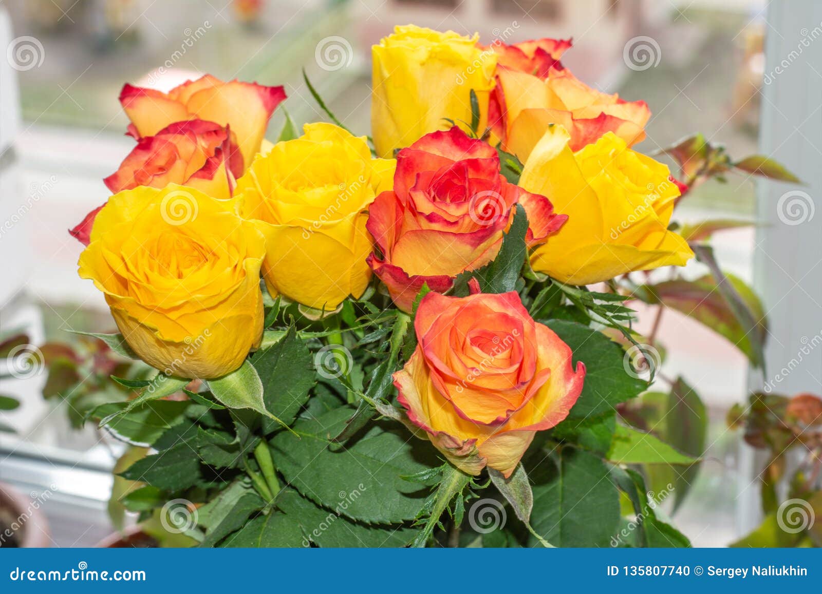 Bouquet of Yellow and Red Roses Stock Photo Image of floral, colorful