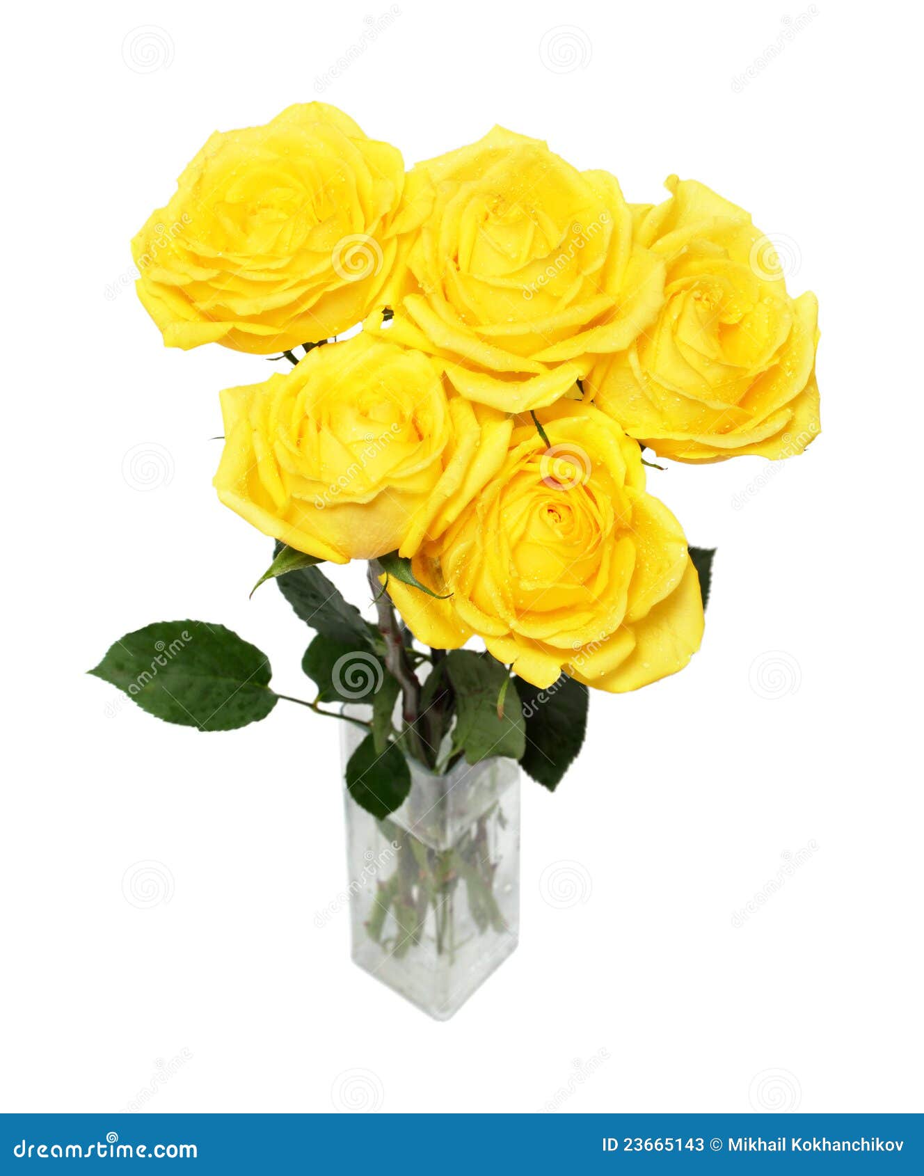 Bouquet of yellow roses stock image. Image of green, yellow 23665143