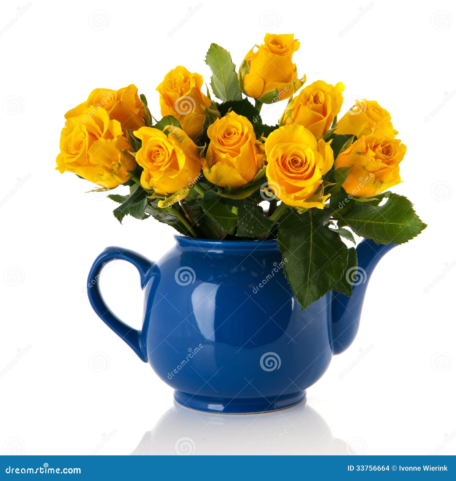 Bouquet Yellow Roses in Blue Pot Stock Photo Image of isolated