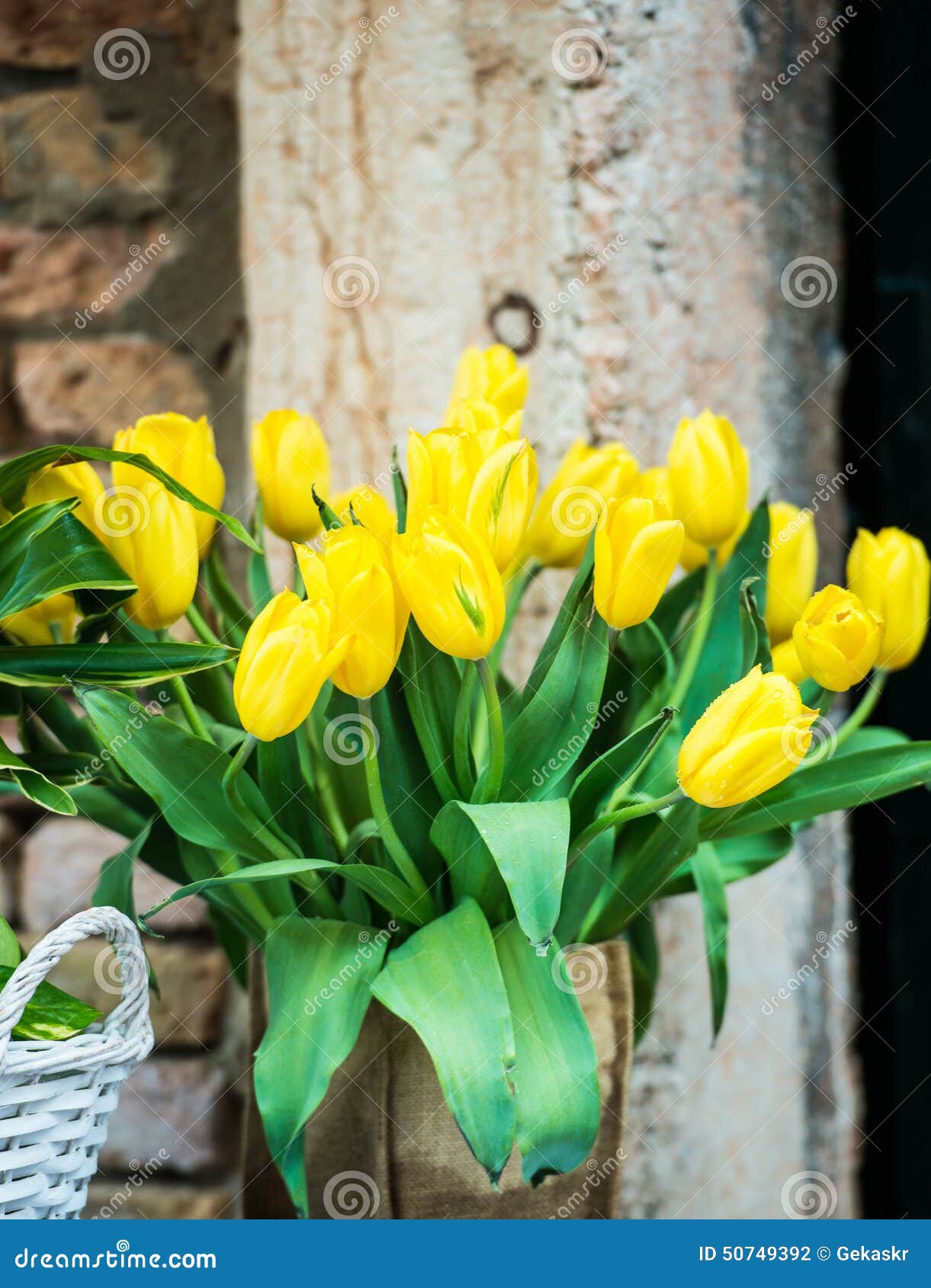 Bouquet of yellow tulips stock photo. Image of bright 50749392
