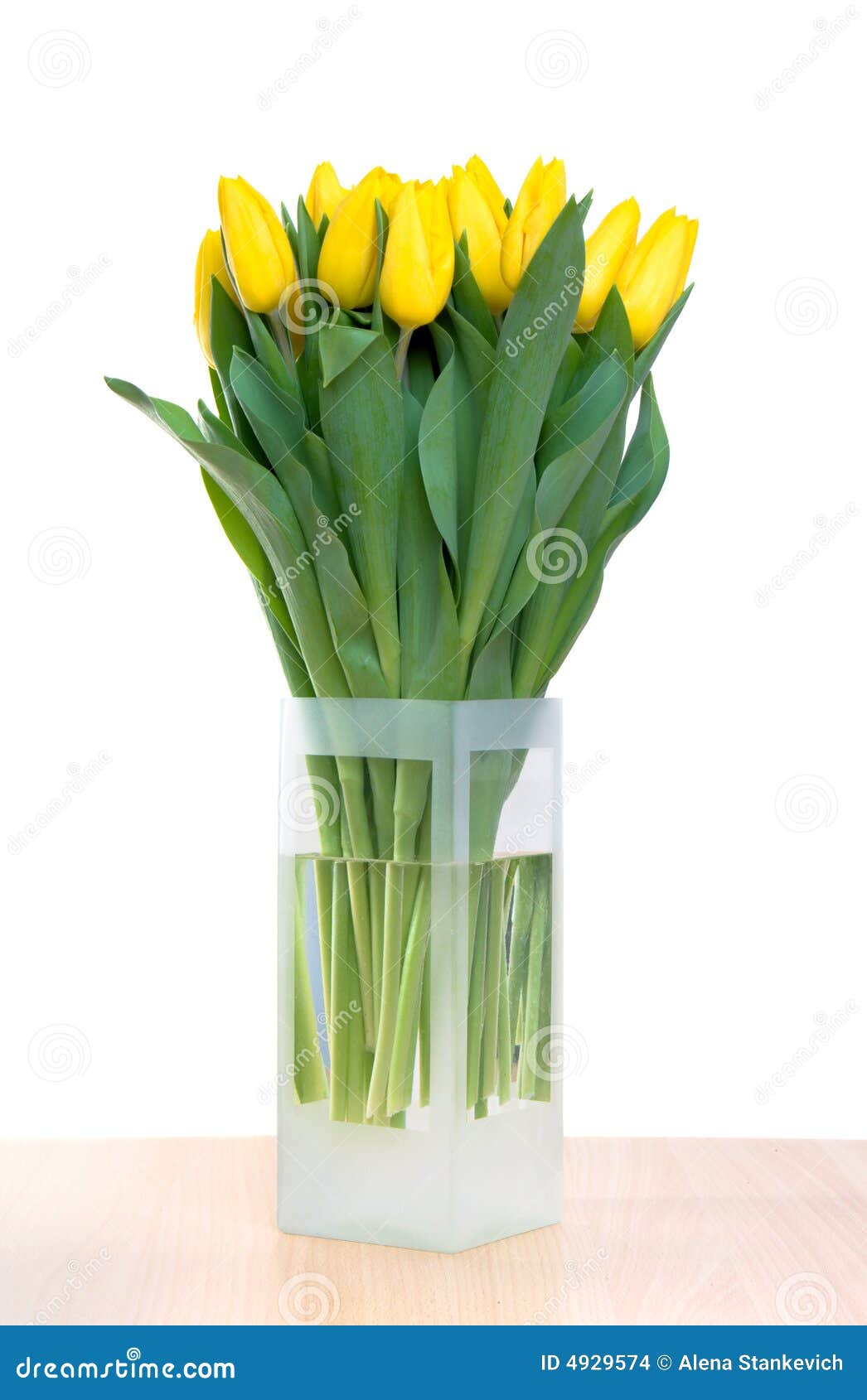 Bouquet of Yellow Tulips in Vase Stock Photo Image of beautiful