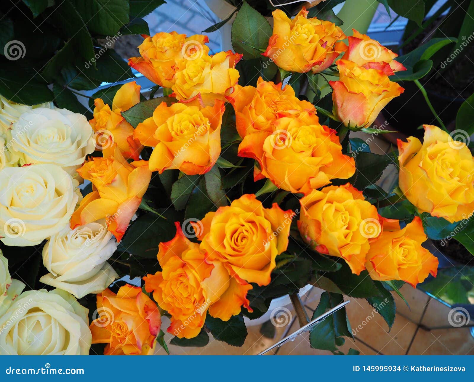 Bouquet of Yellow and White Roses Stock Photo Image of rose, romantic