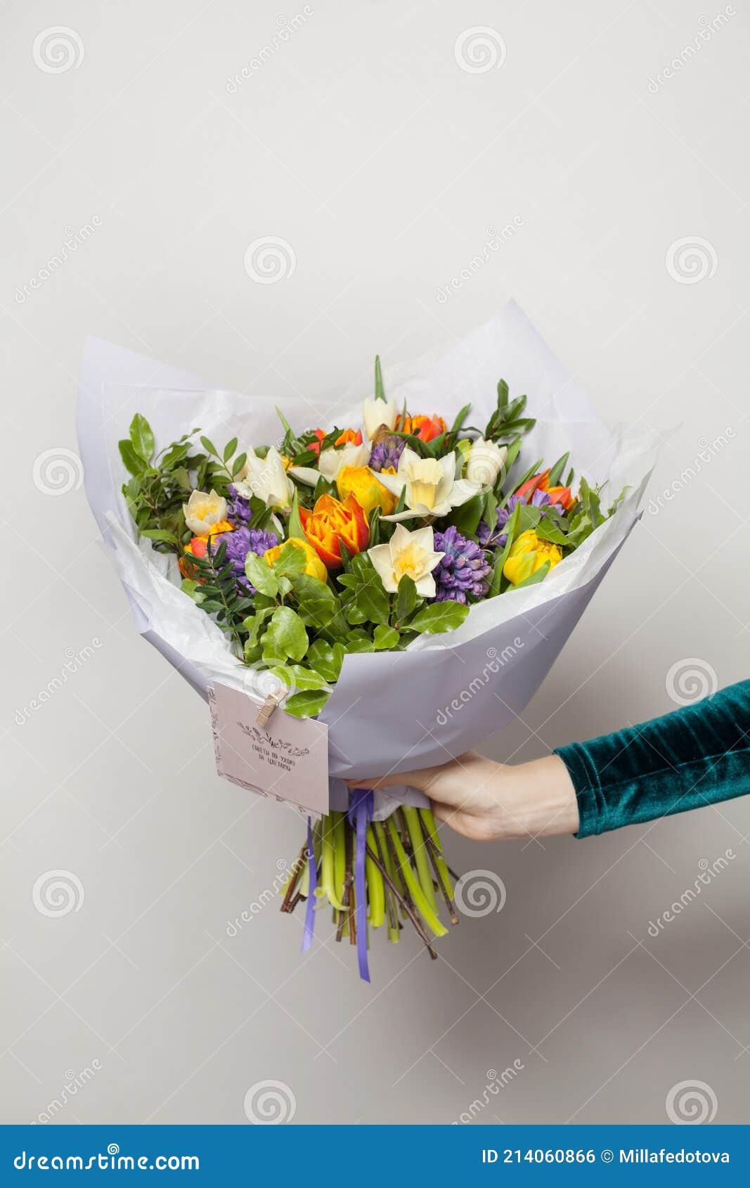 Bouquets of Beautiful Flowers in Hand on White Stock Photo Image of