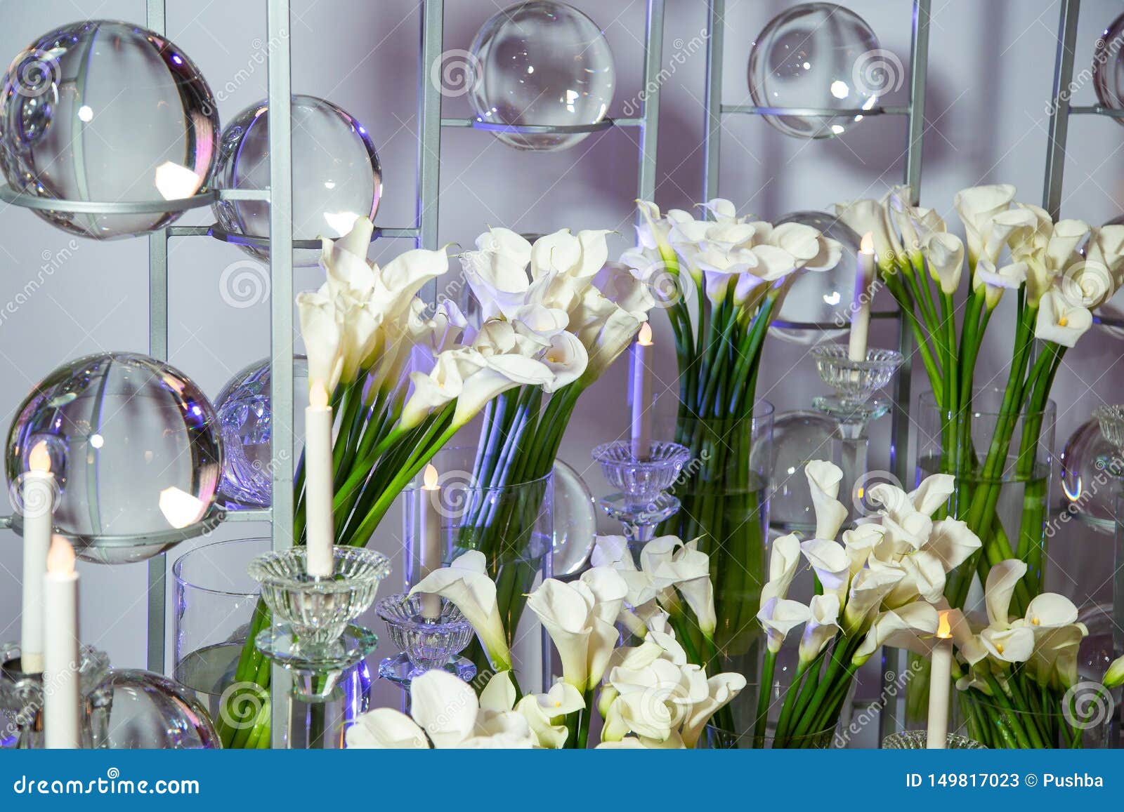 Bouquets of Daffodils in High Glass Vases. Stock Image Image of