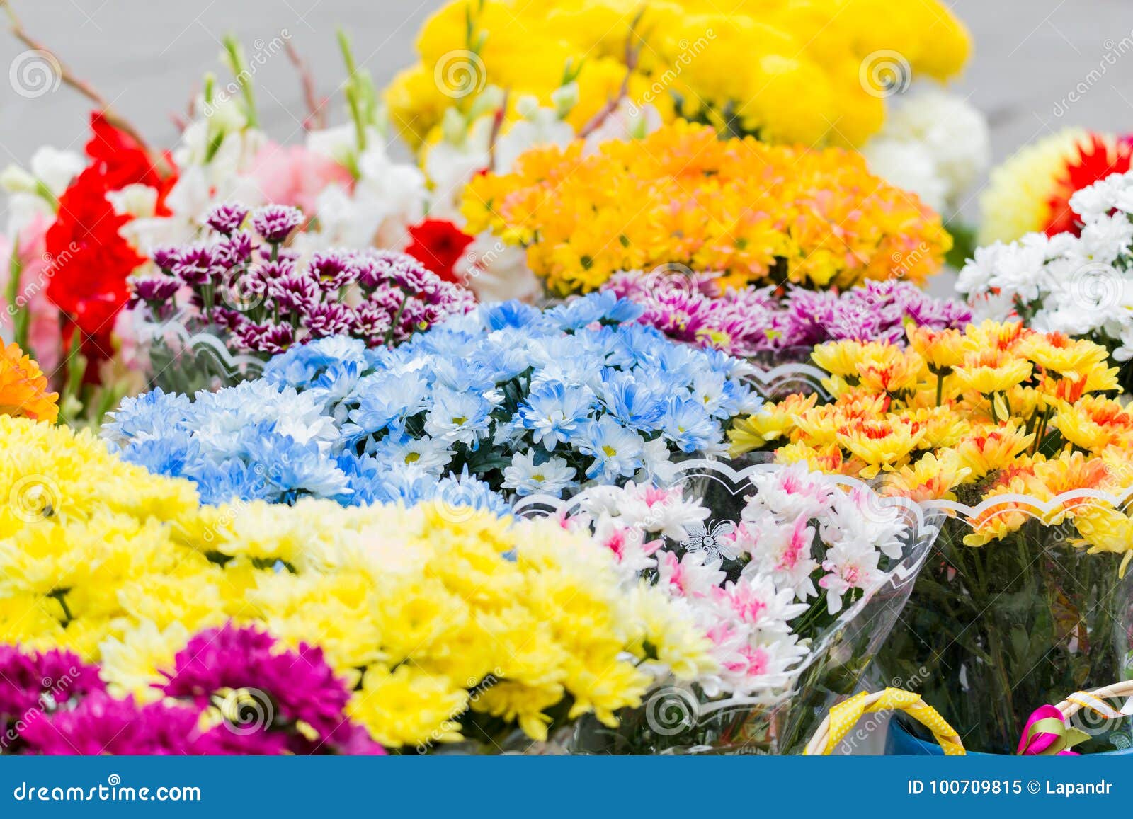 Bouquets of Multi-colored Chrysanthemums are Sold at a Street Market ...