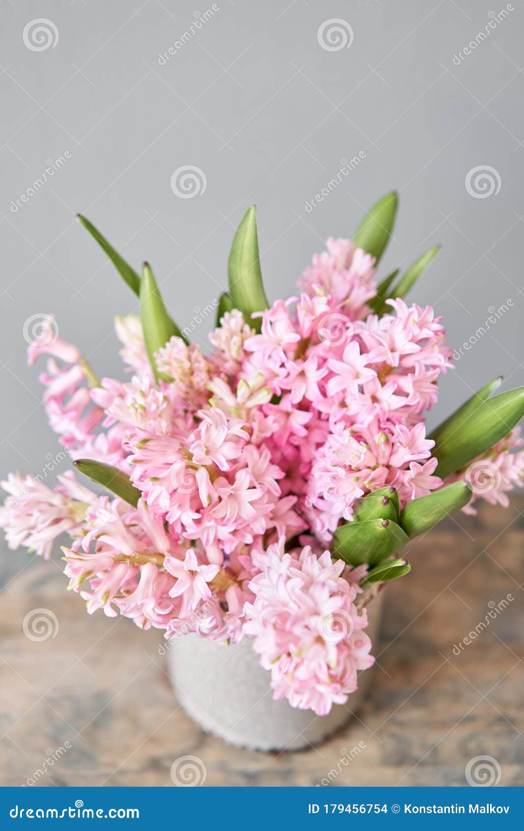 Hyacinths Images – Browse 145,753 Stock Photos, Vectors, and Video | Adobe  Stock