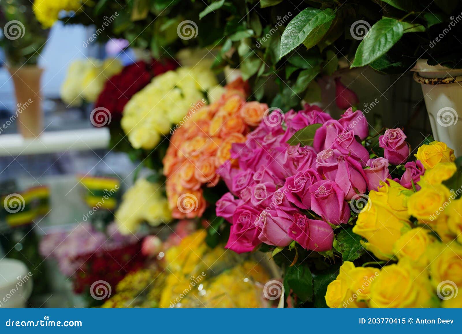 Bouquets of Various Flowers on Counter. Fresh Beautiful Flowers in ...