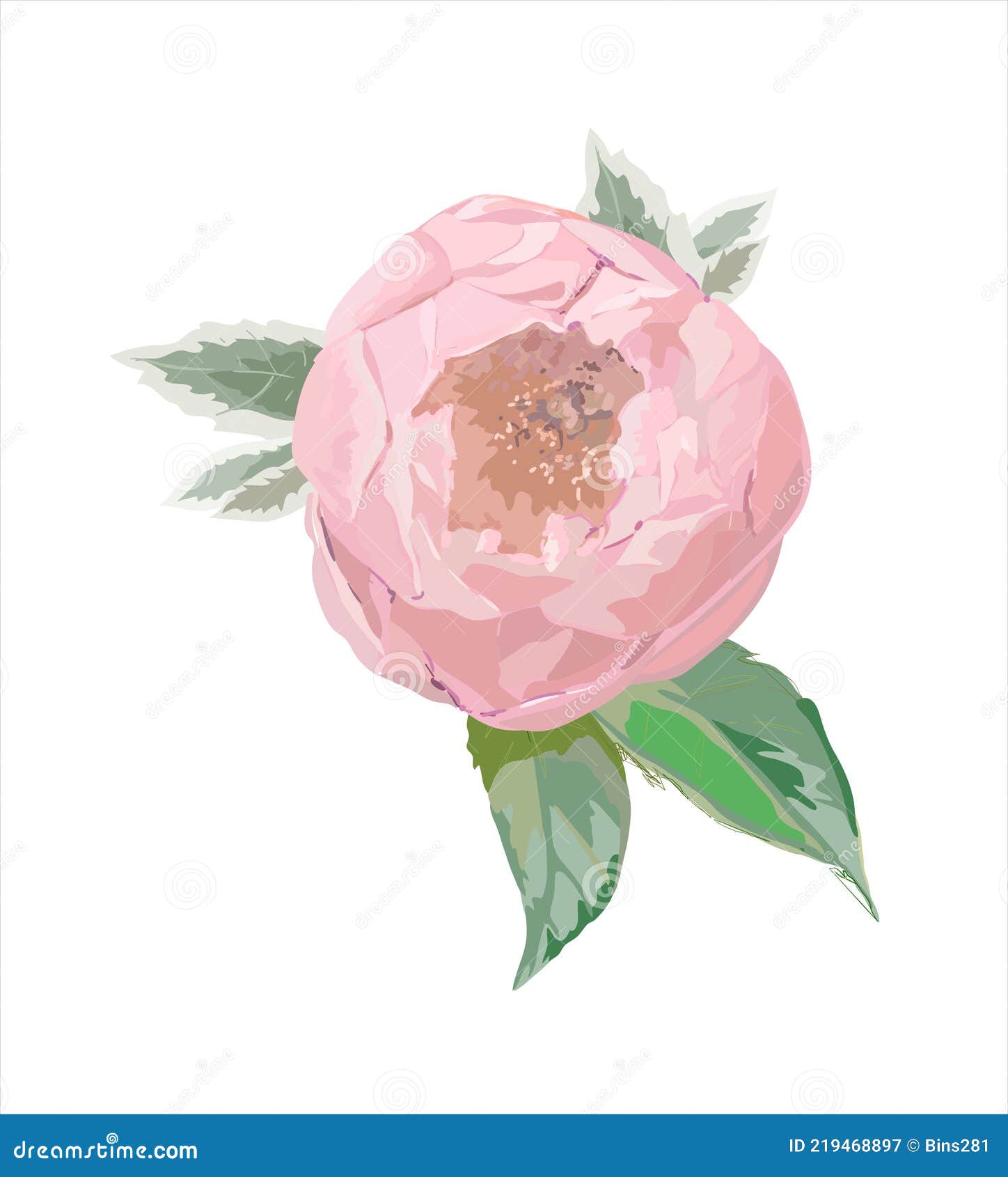 Photo De Fleur A Imprimer En Couleur Bourgeon De Pivoine été Floraison Rose Couleur. Dessin Dans Un Vecteur Pour L'impression. Illustration de Vecteur - Illustration du buts, bourgeons: 219468897