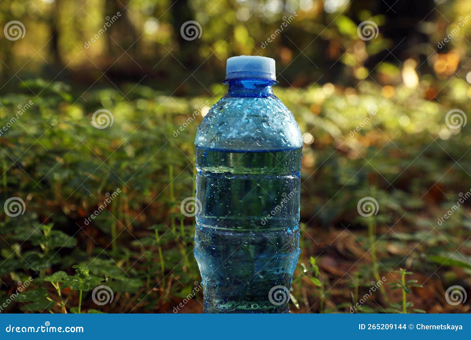 Bouteille En Plastique D'eau Douce à L'extérieur Closeup Photo stock -  Image du fermer, santé: 265209144