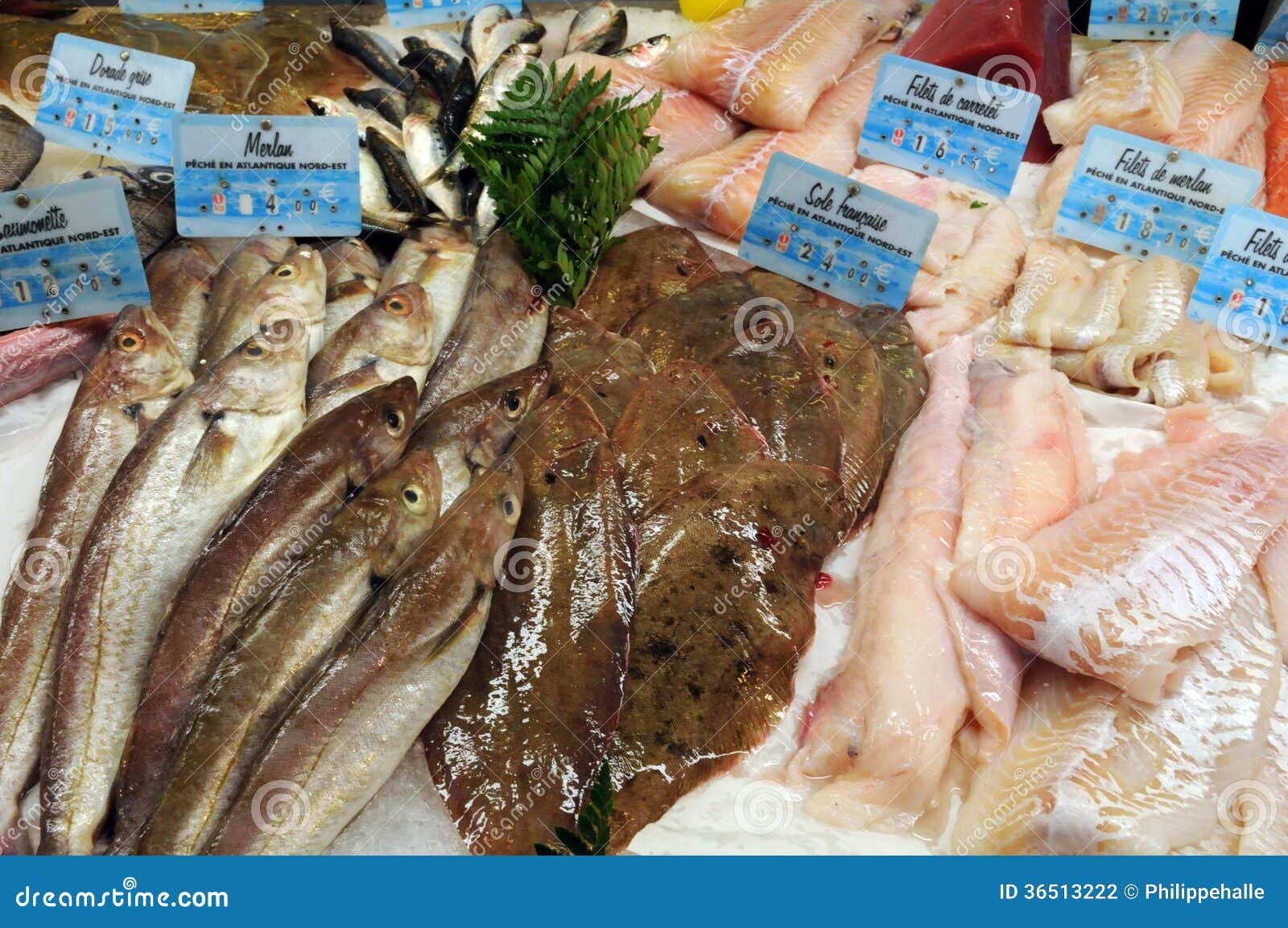 Boutique De Poissons Dans La Ville De Honfleur Photo stock - Image du  poissonnier, seafood: 36513222