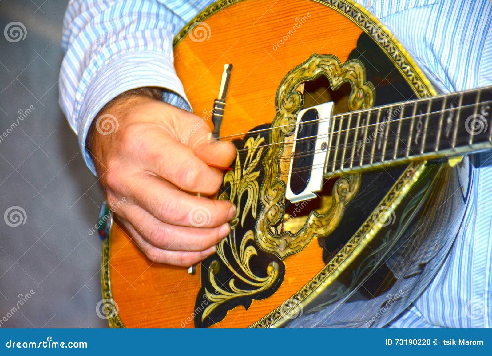 Bouzouki player stock photo. Image of flower, detail 73190220