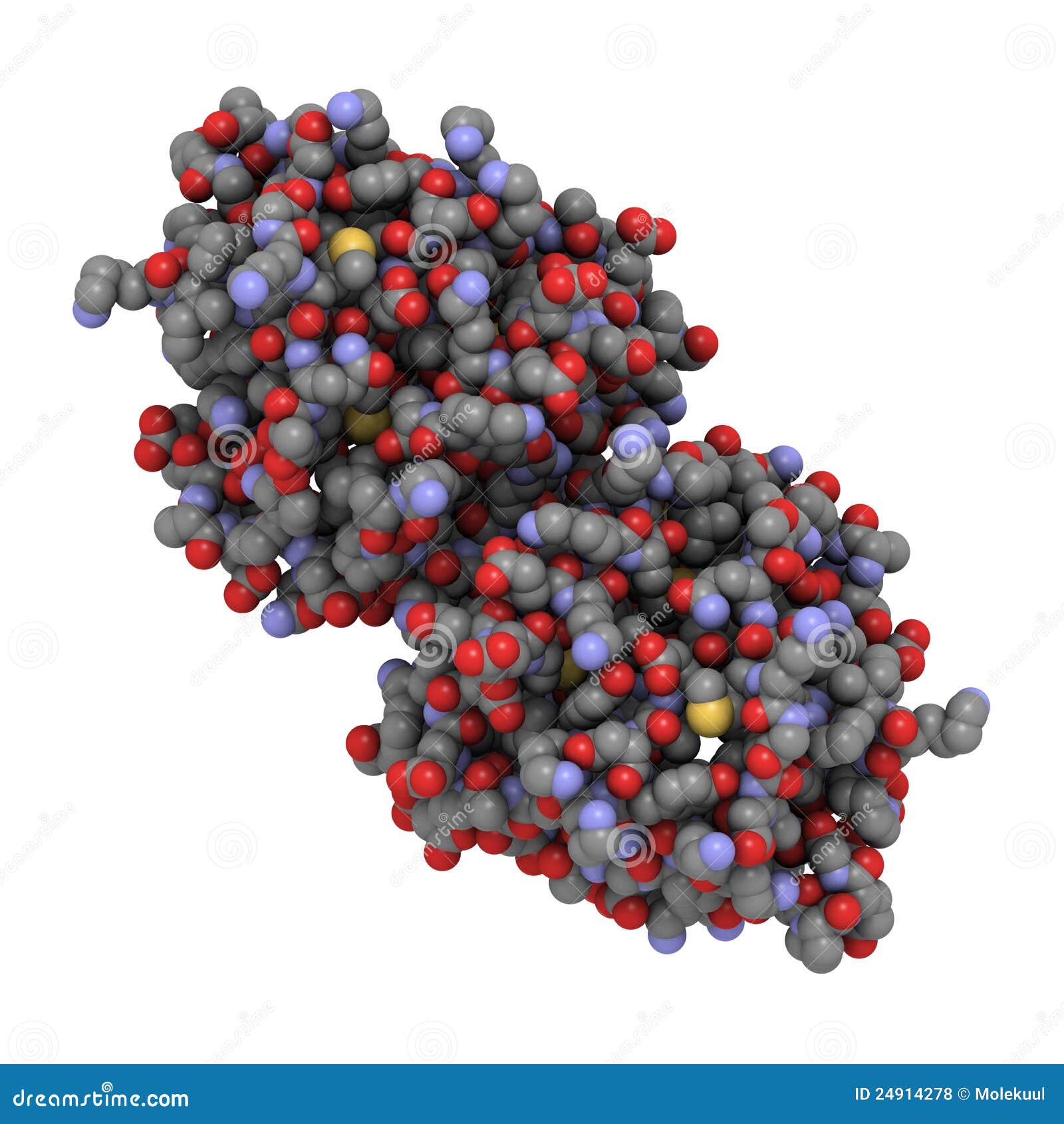 bovine beta-lactoglobulin