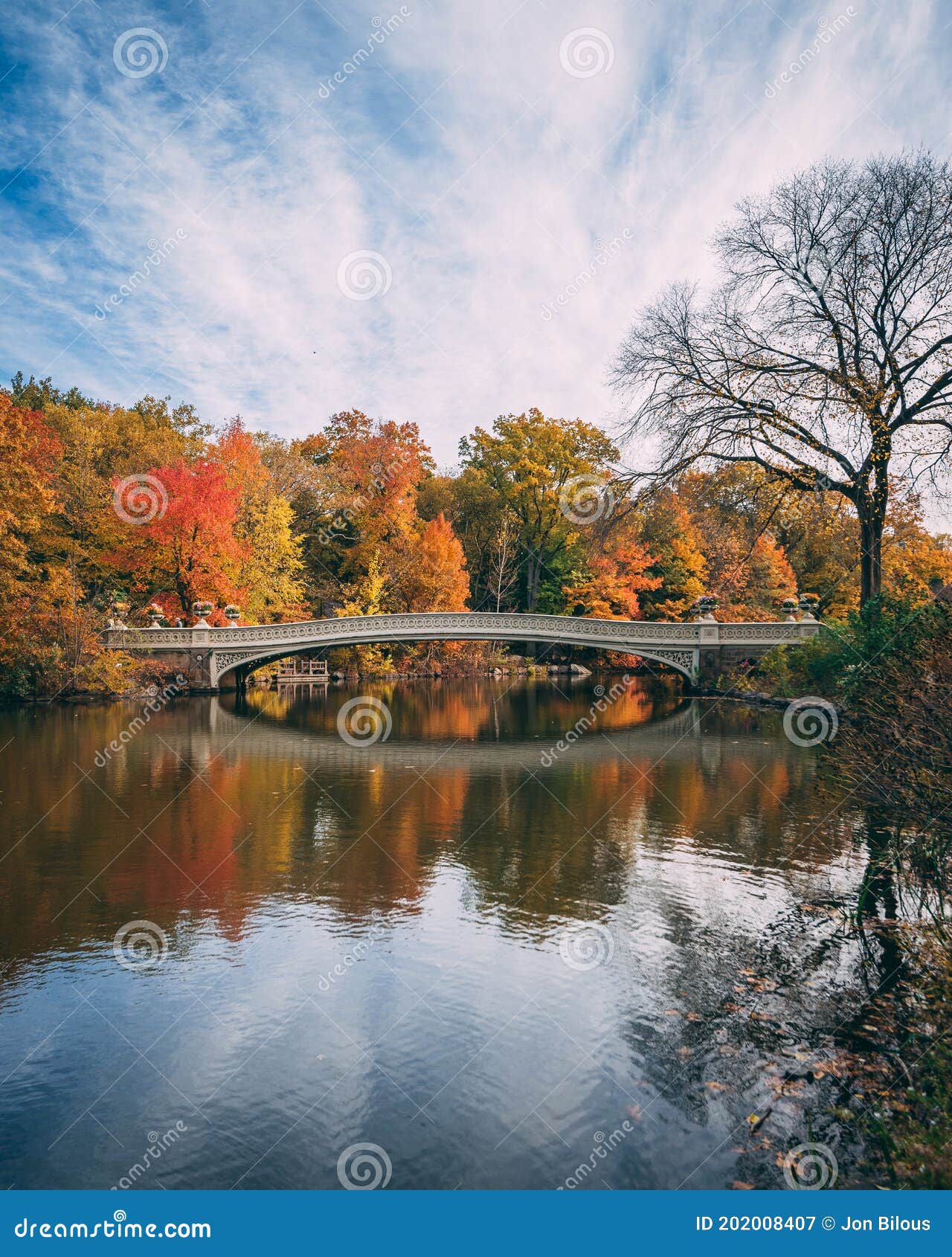 the bow bridge with autumn color, in central park, manhattan, new york city
