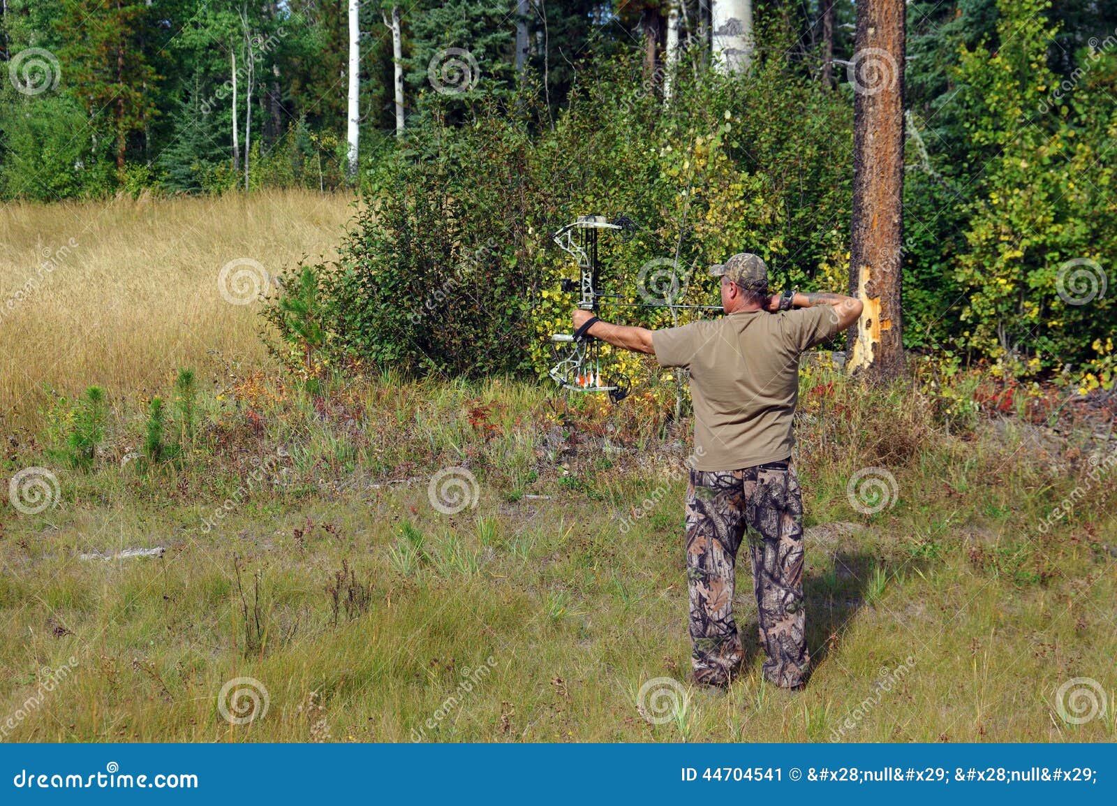 Bow Hunter stock image. Image of recreation, trees, nature 44704541