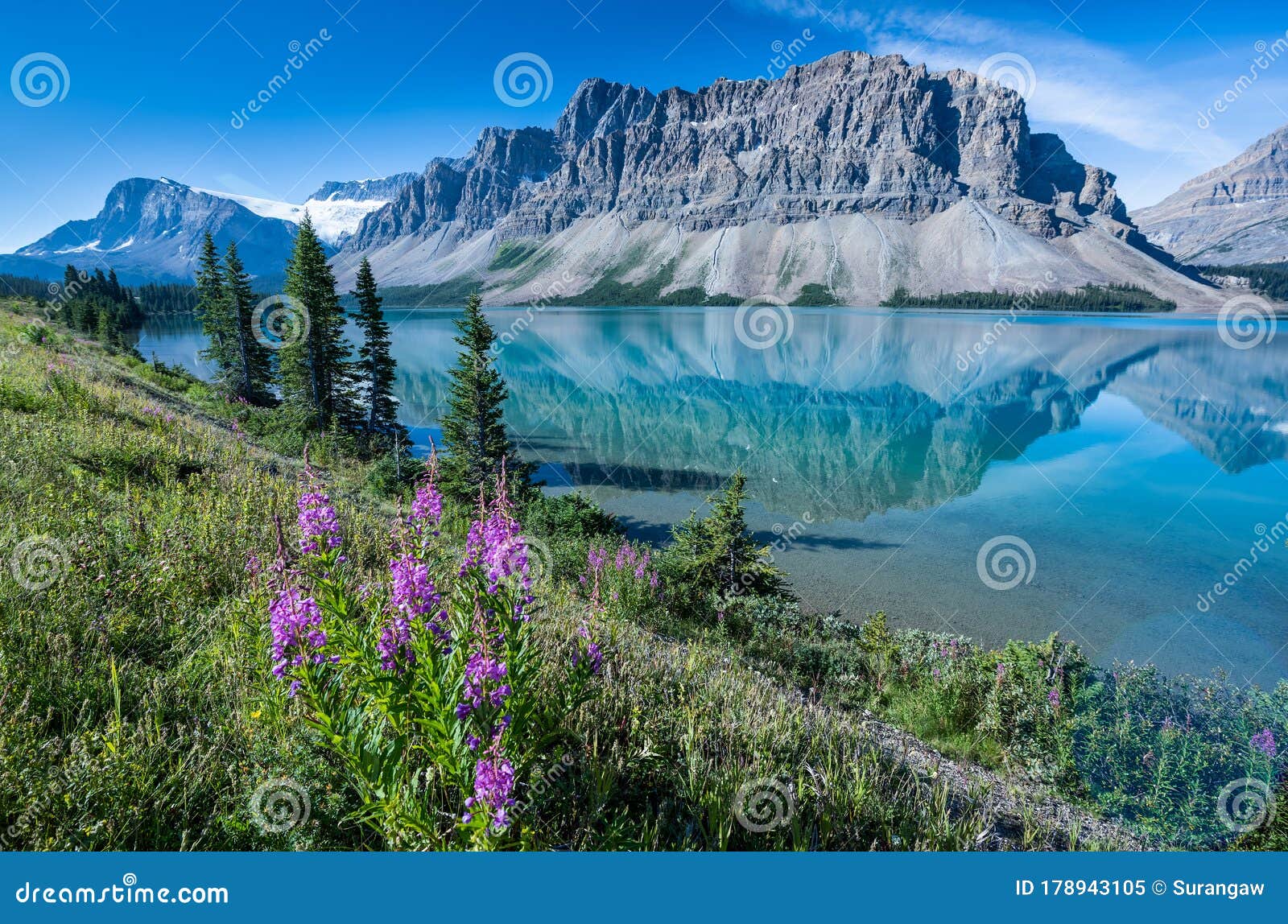 bow lake, banff national park, alberta, canada