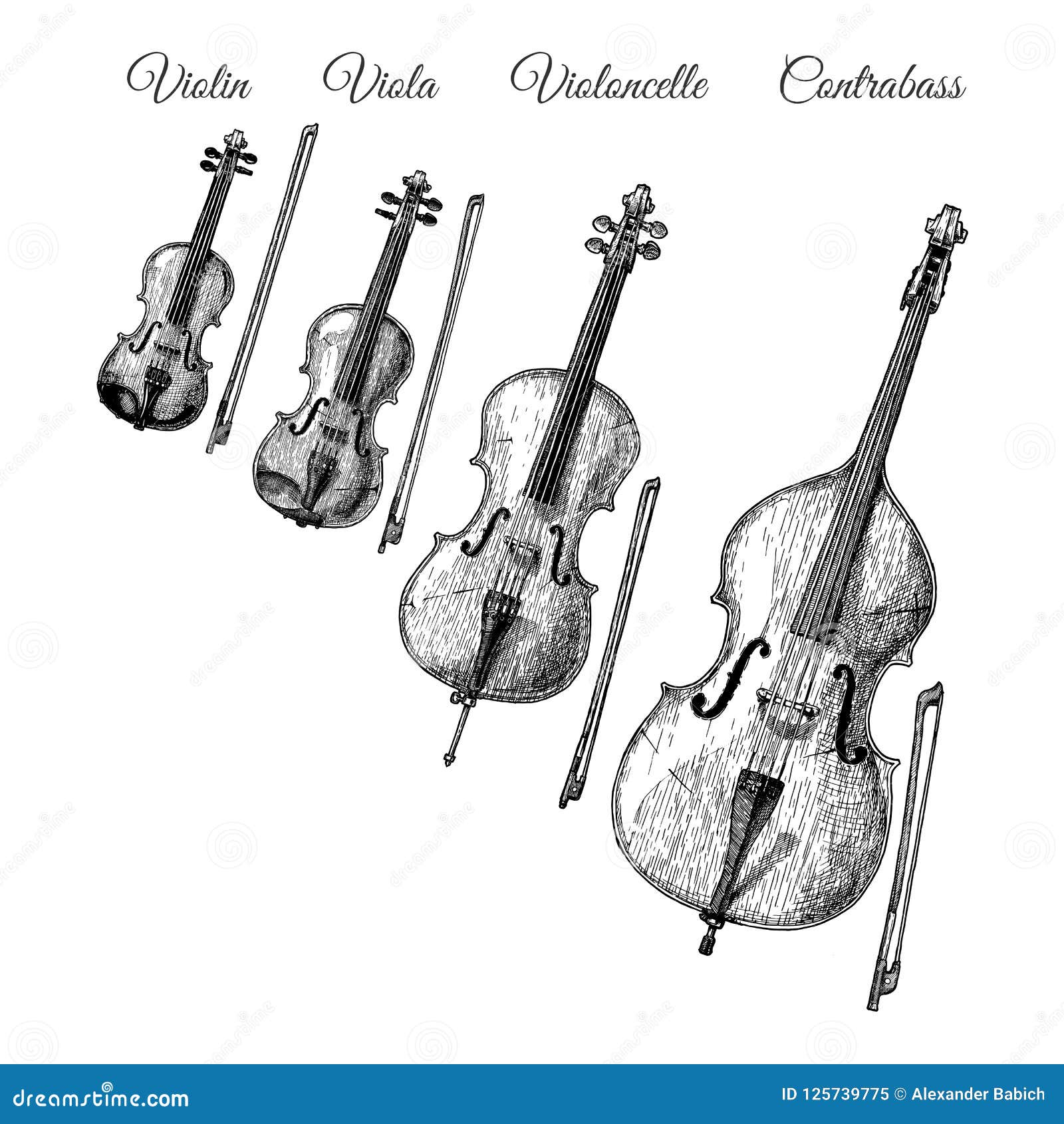 String Instruments Silhouettes Stock Image | CartoonDealer.com #25983583