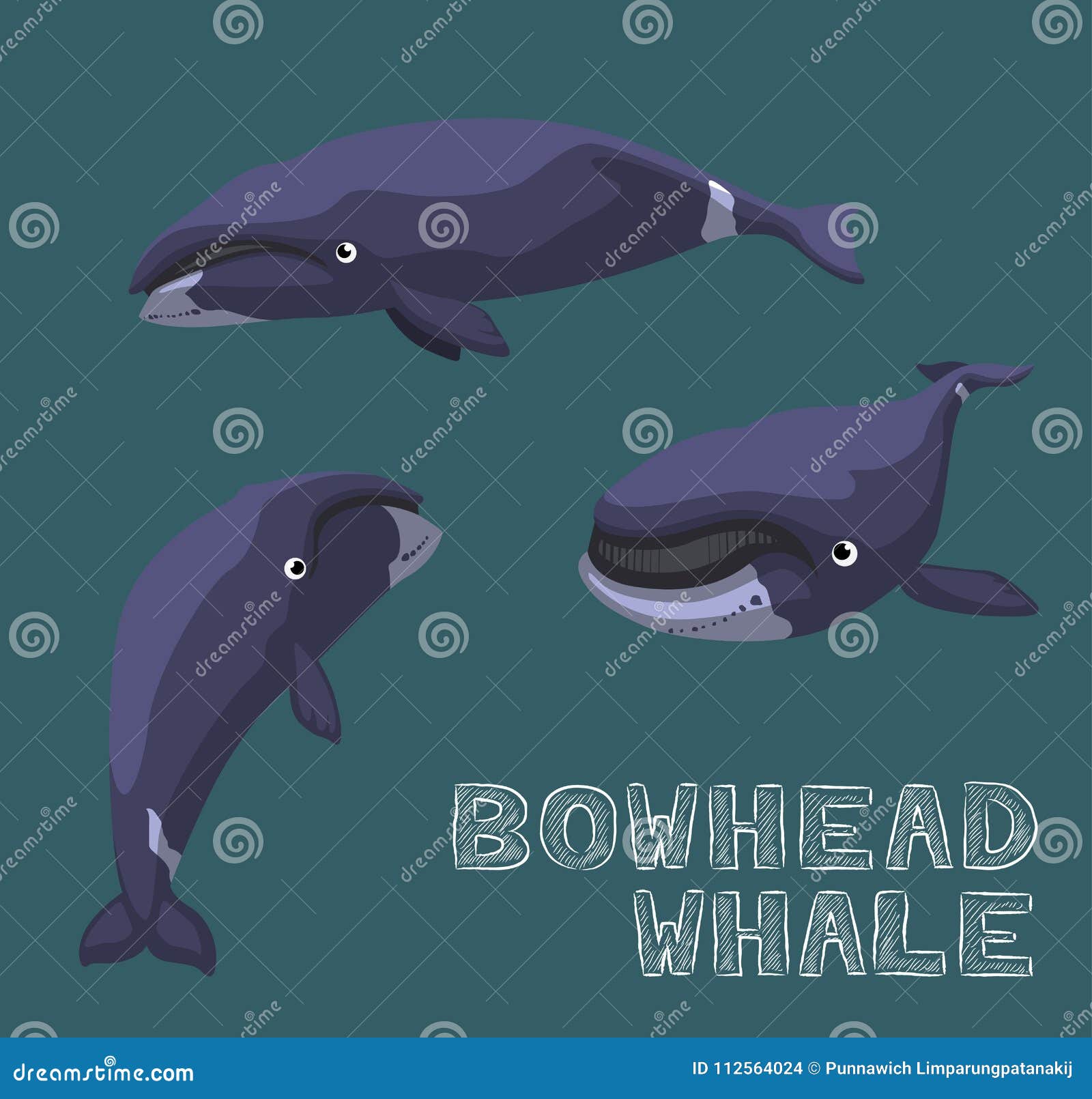 Bowhead Whale Cartoon Vector Illustration Stock Vector - Illustration ...