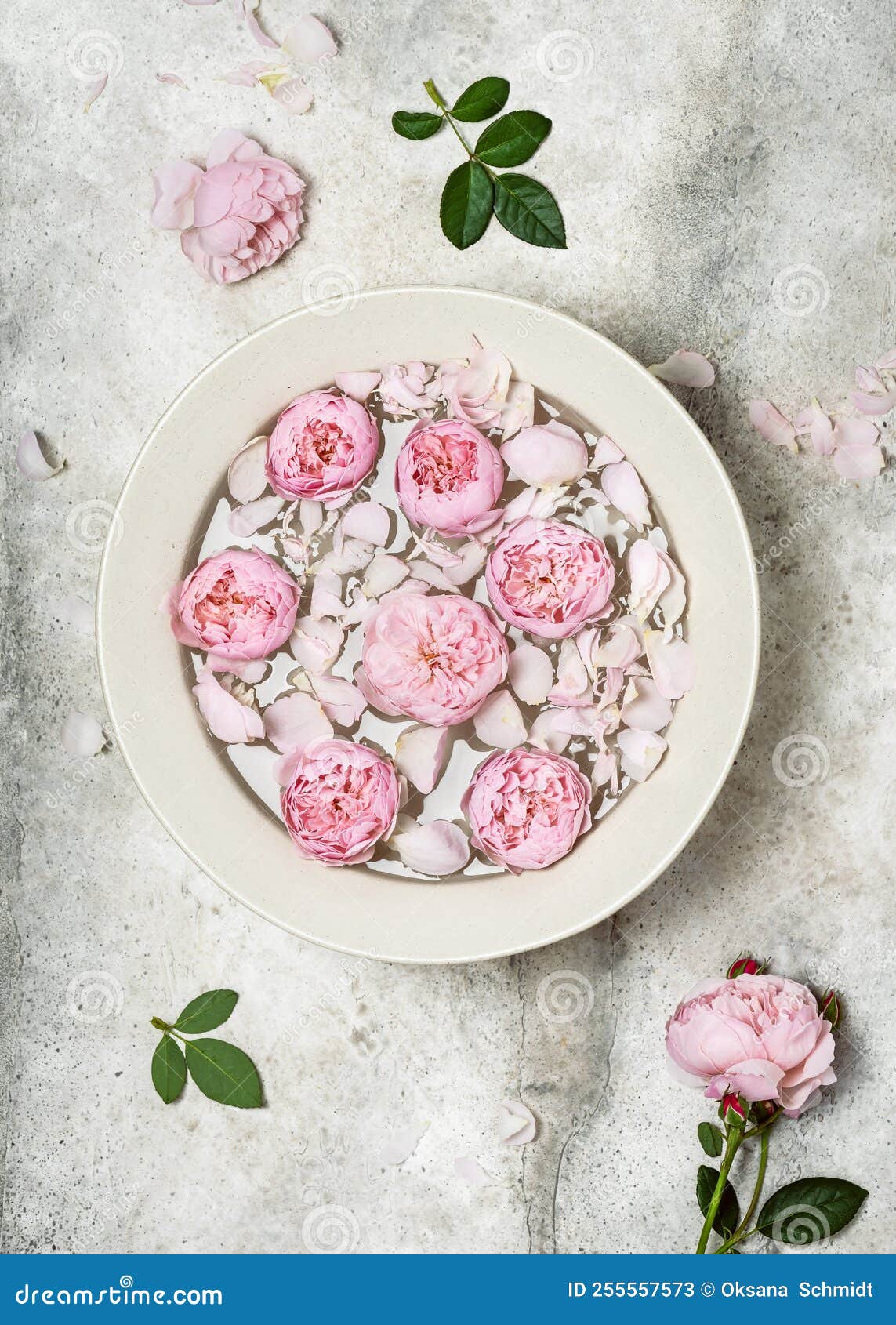 Bowl of Aroma Spa Water with Pink Rose Petals and Flowers. Relaxation and Harmony Concept Stock