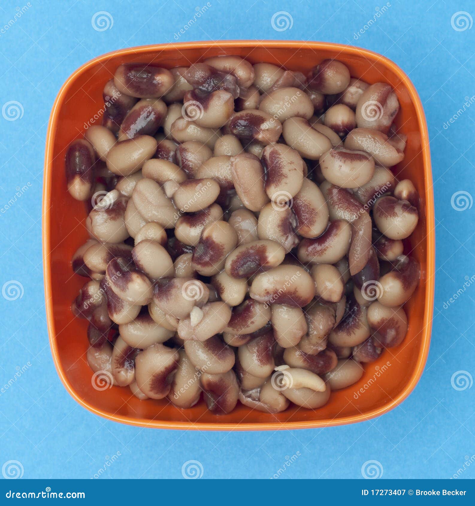 Canned Black Eyed Peas In Tin Can RoyaltyFree Stock Photo