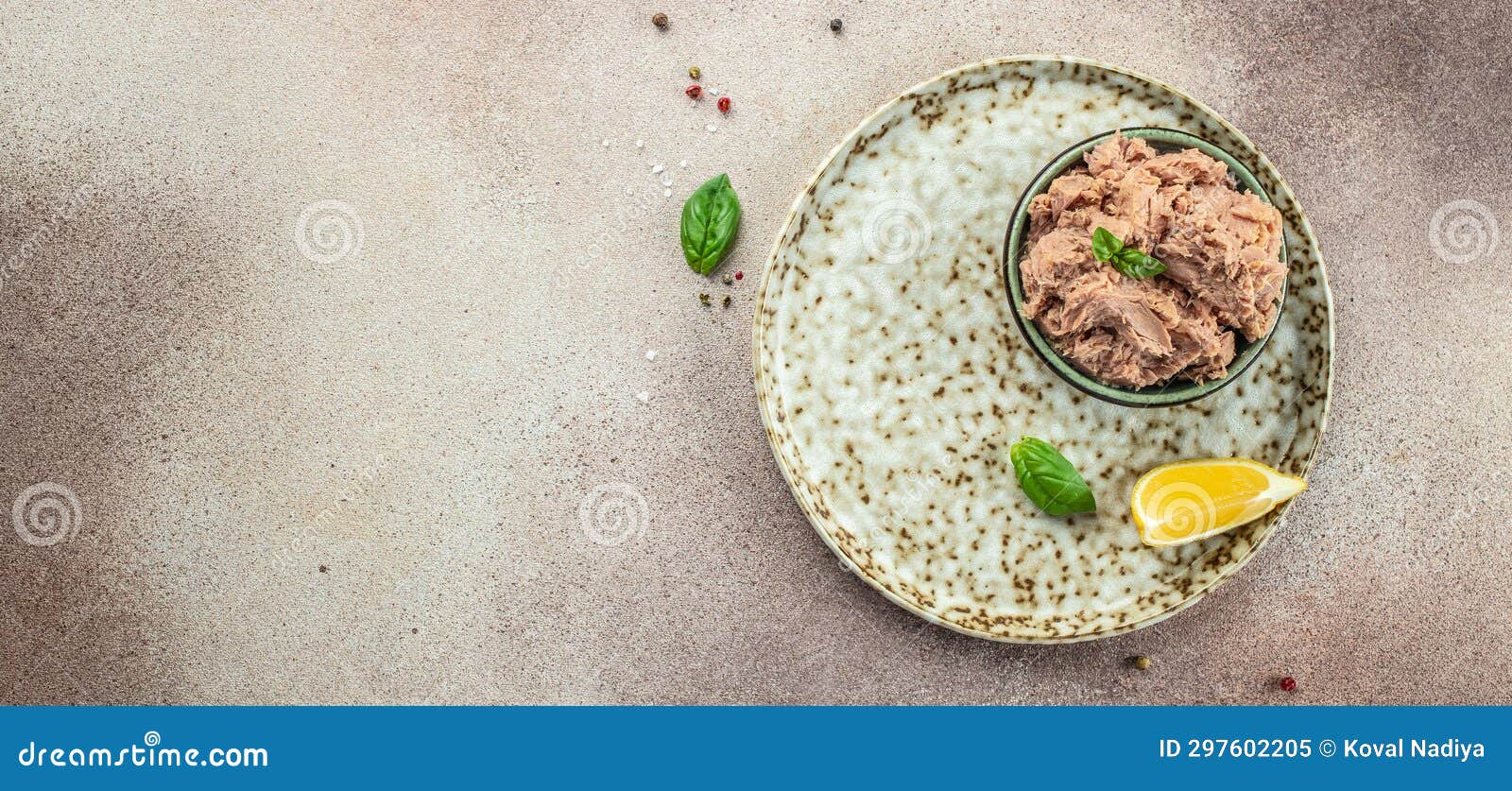 Bowl with Canned Tuna. Long Banner Format. Top View Stock Image Image