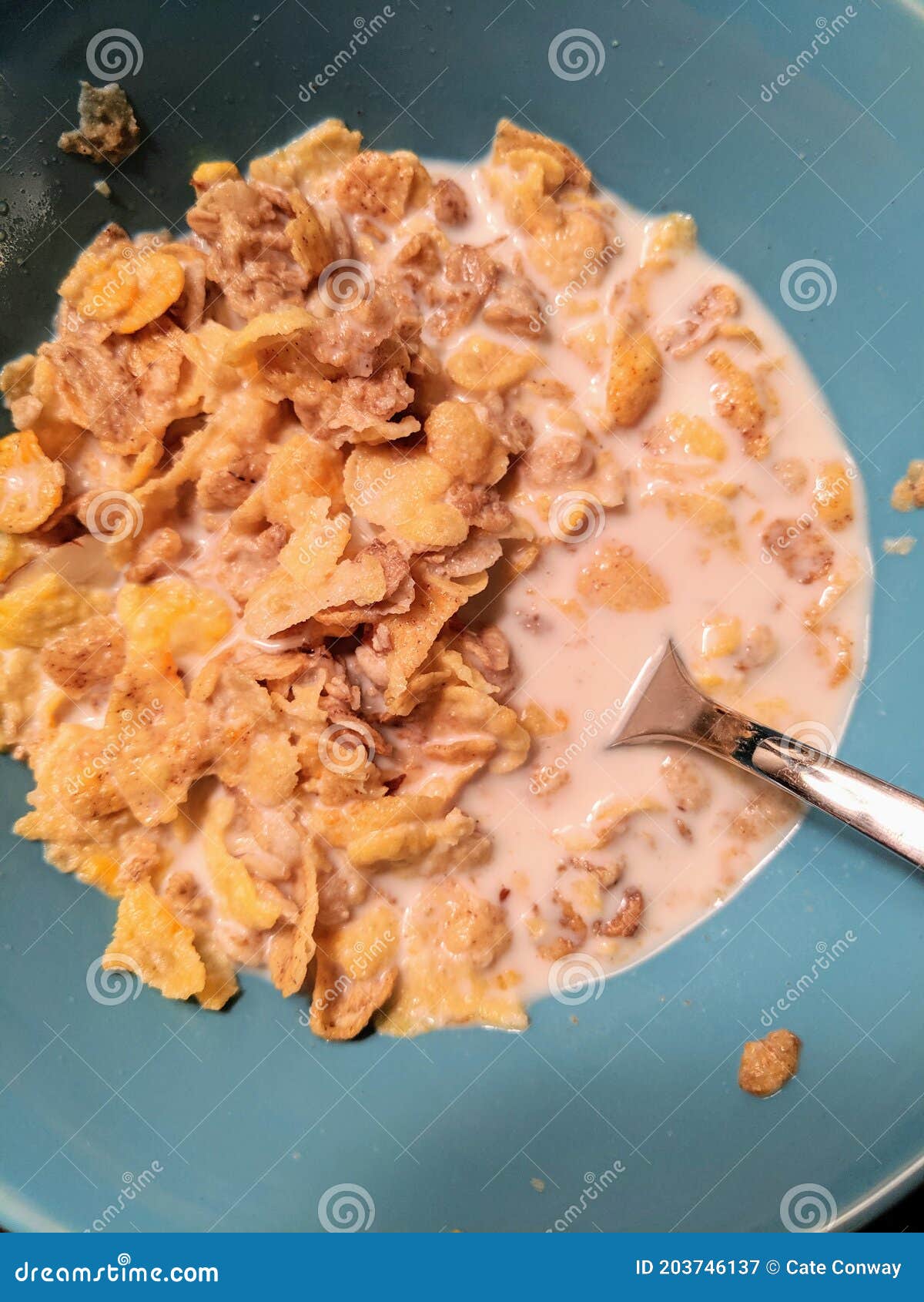 Bowl of cereal stock image. Image of breakfast, vegetable 203746137