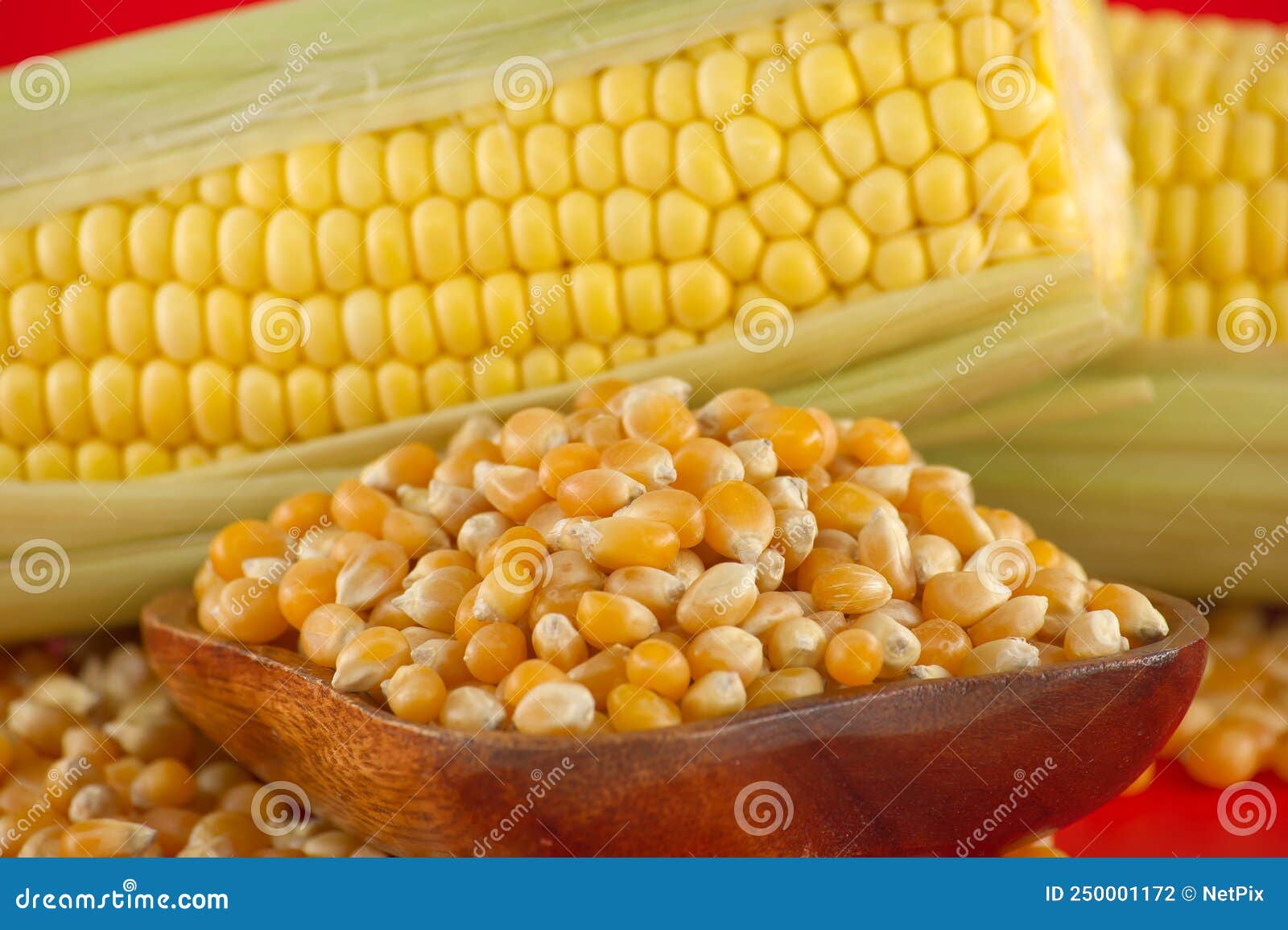 Bowl with Corn Kernels and Corn Cob with Leaves Stock Photo Image of