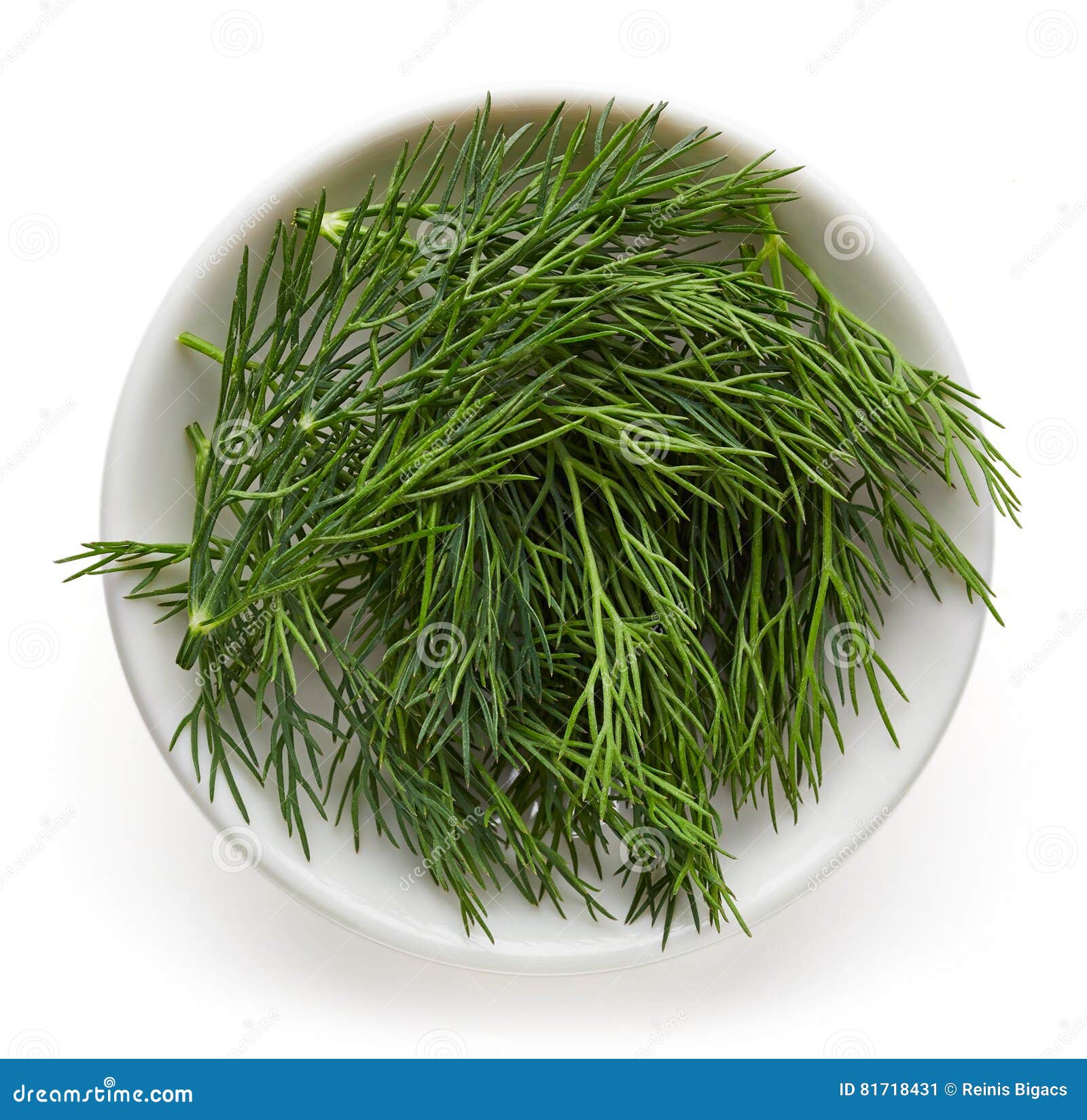 Bowl Of Fresh Dill Isolated On White, From Above Stock Image Image of