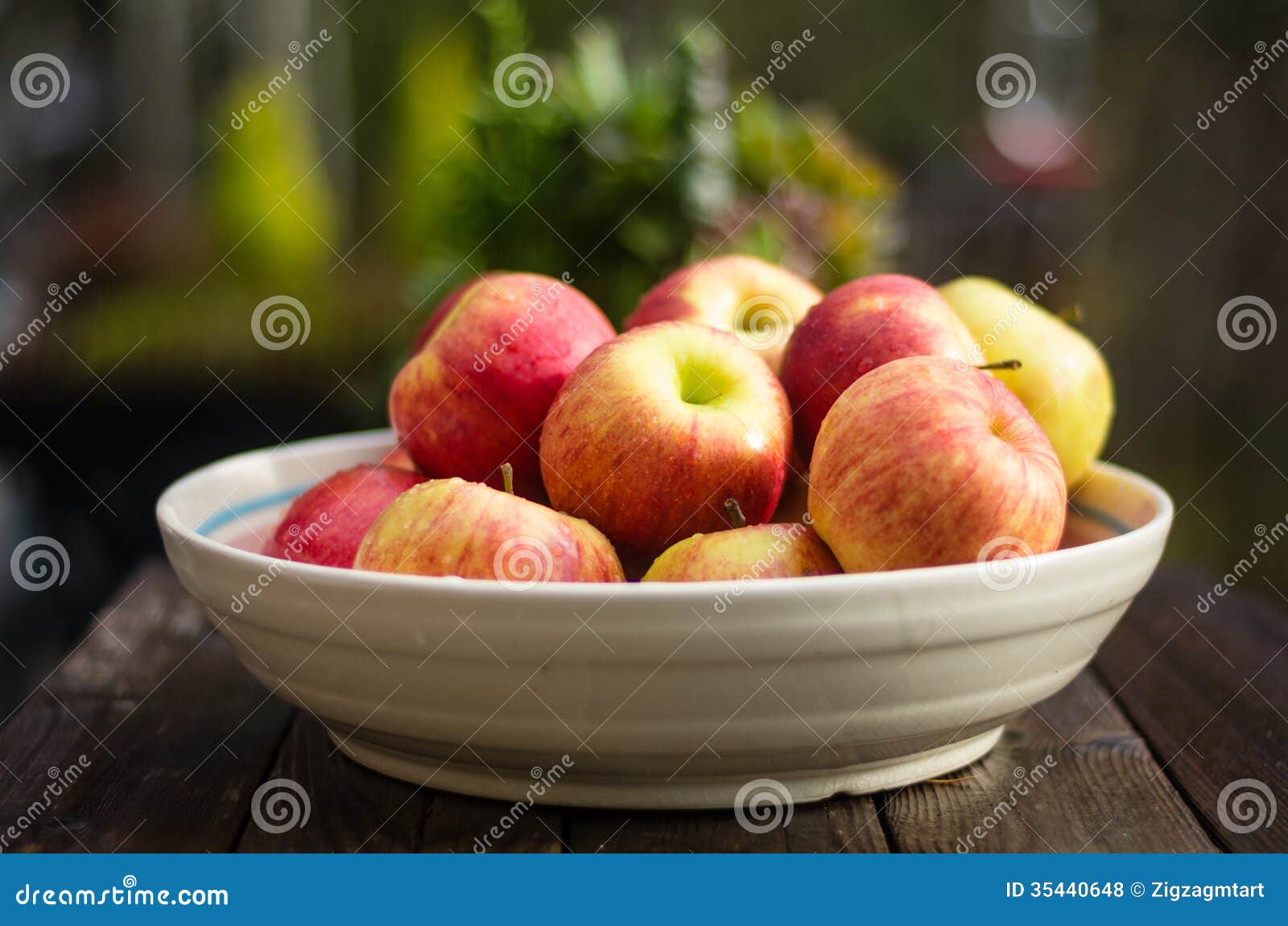 Bowl of Fresh Picked Apples Stock Photo Image of apple, malus 35440648