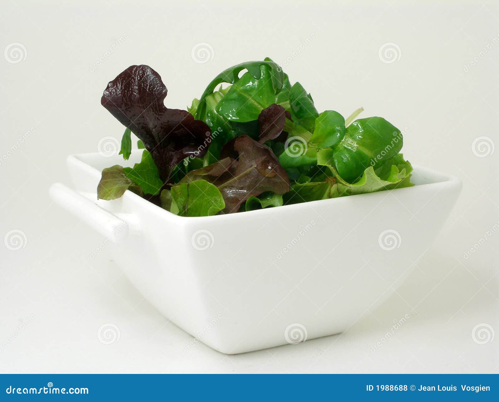 A bowl of green salad 4 stock photo. Image of dinner, preparation 1988688