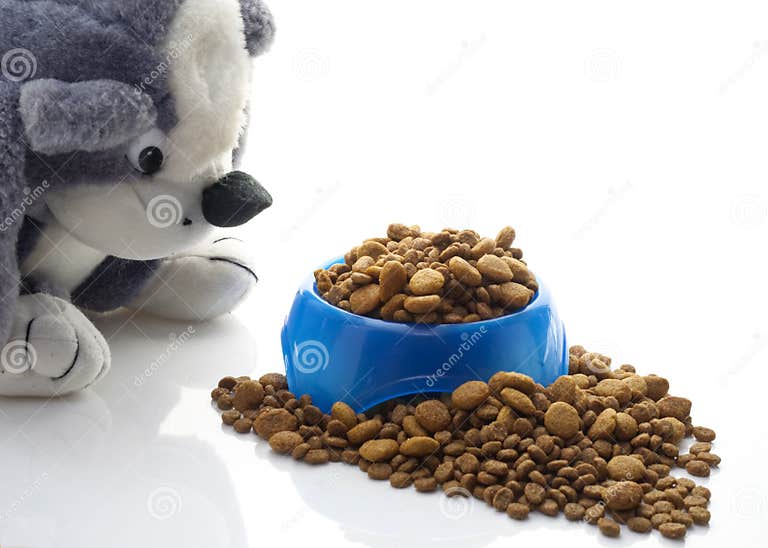 Bowl of kibble for dogs stock photo. Image of animals 17027372