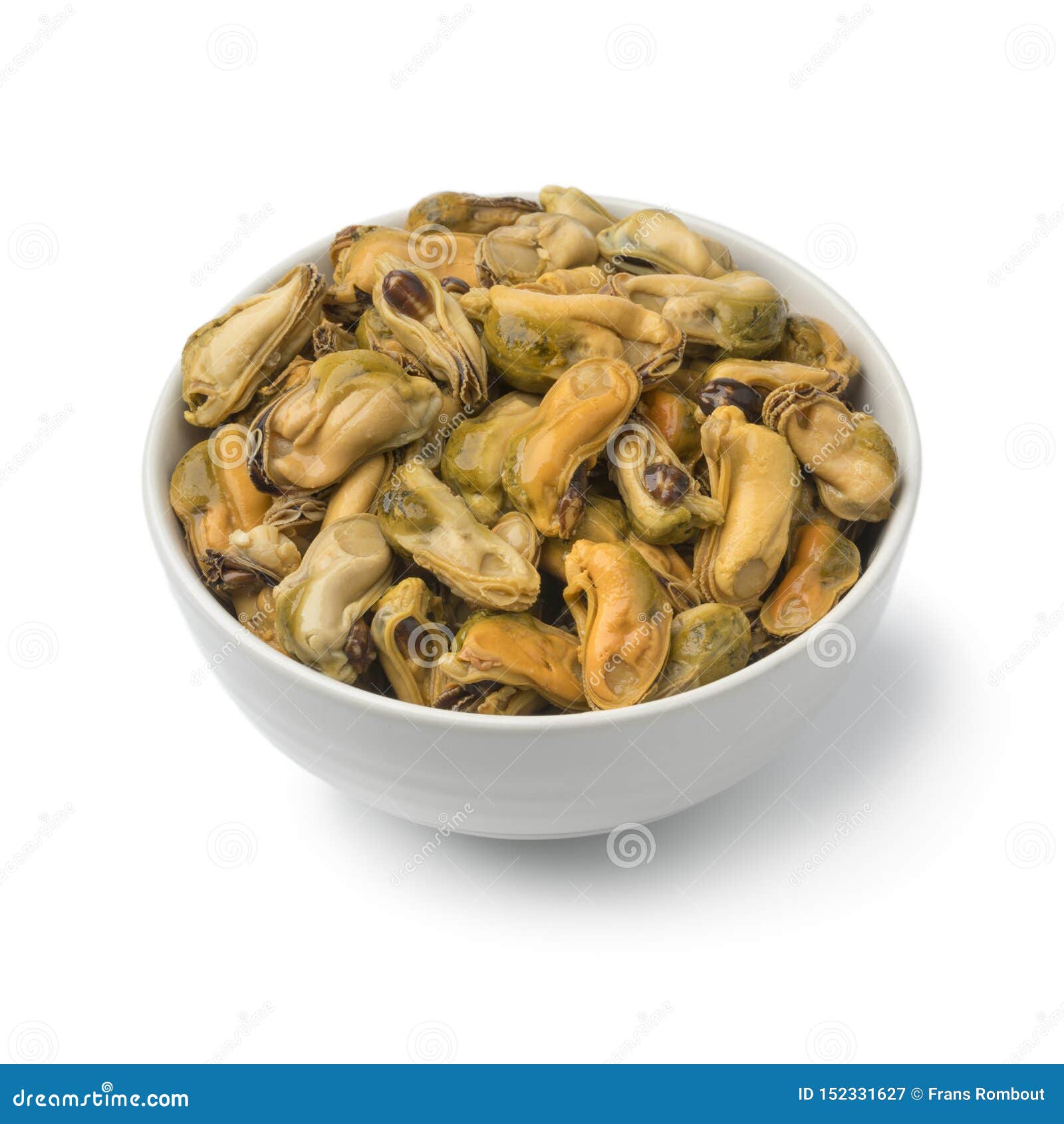 Bowl with Mussels in Vinegar Stock Image Image of ingredient