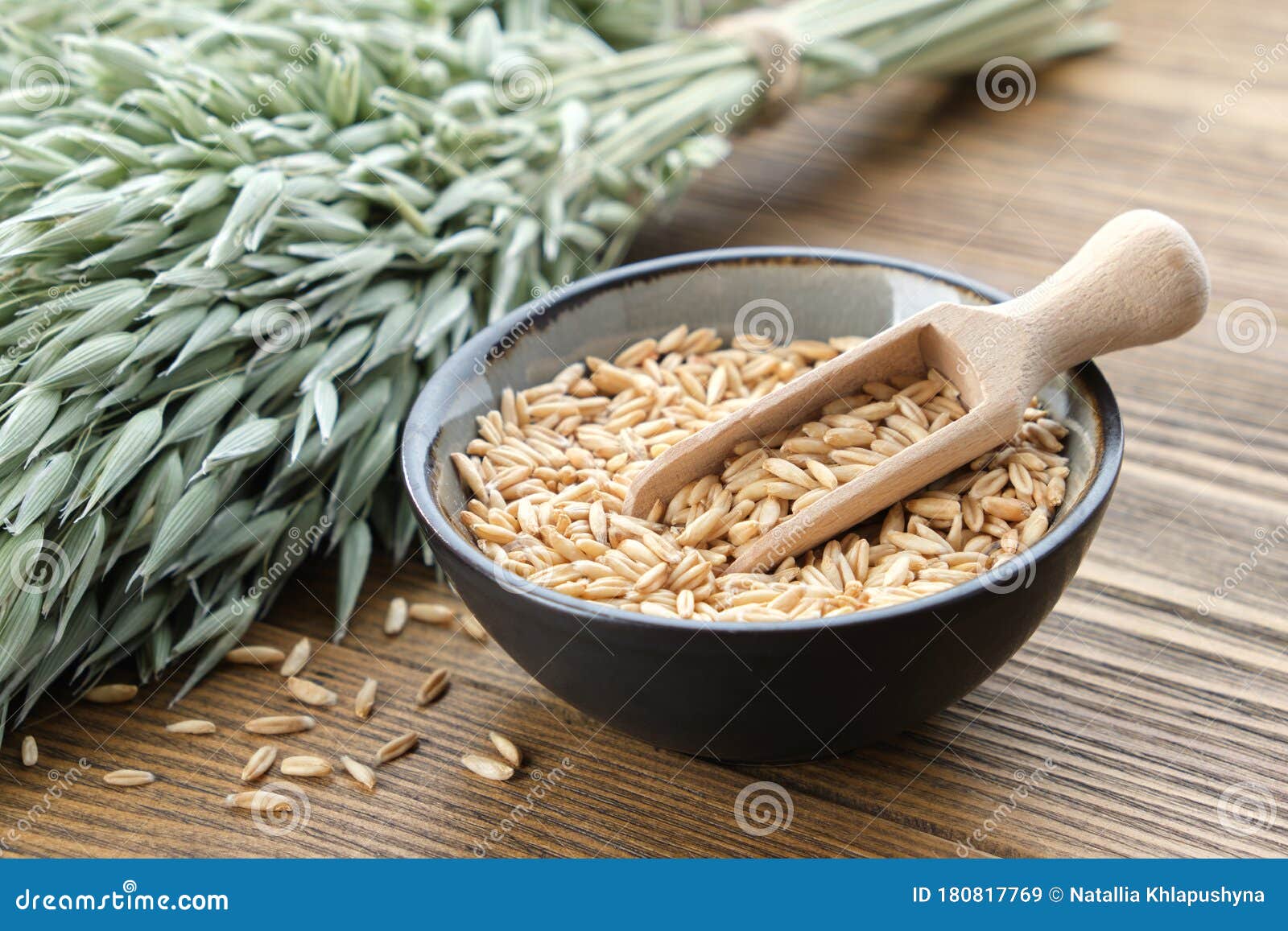 Bowl of Oat Grains and Green Oat Ears on Wooden Table Stock Image ...