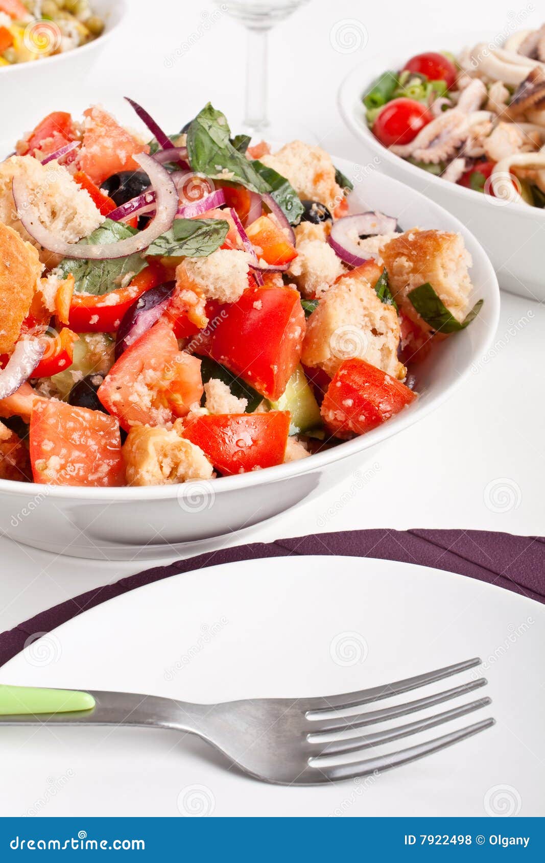 Bowl of Panzanella Bread Salad Stock Photo Image of basil, appetizer