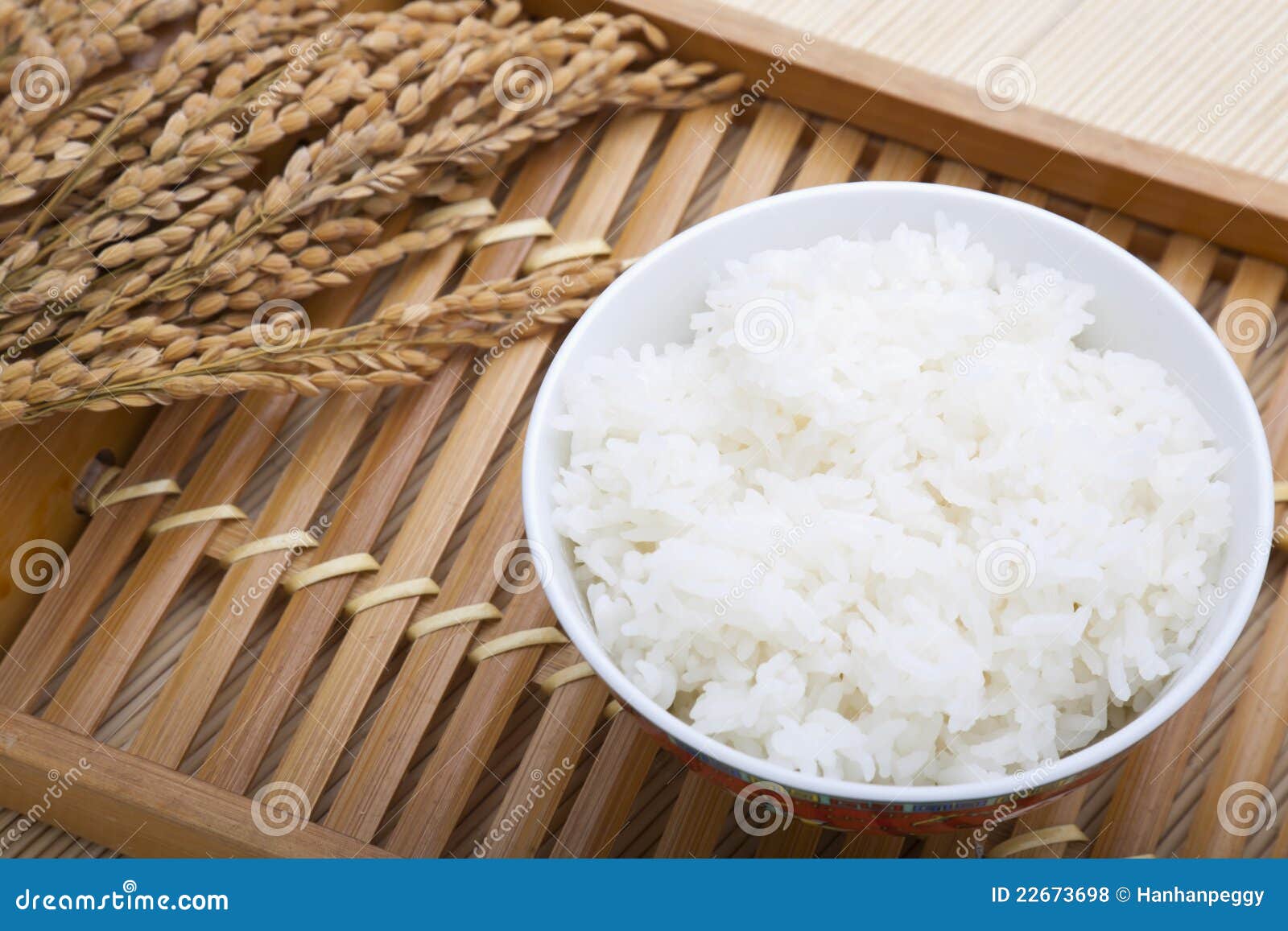 bowl of rice and paddy