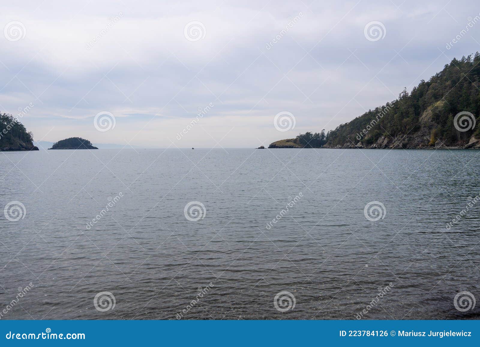 Bowman Bay stock photo. Image of coast, island, green - 223784126