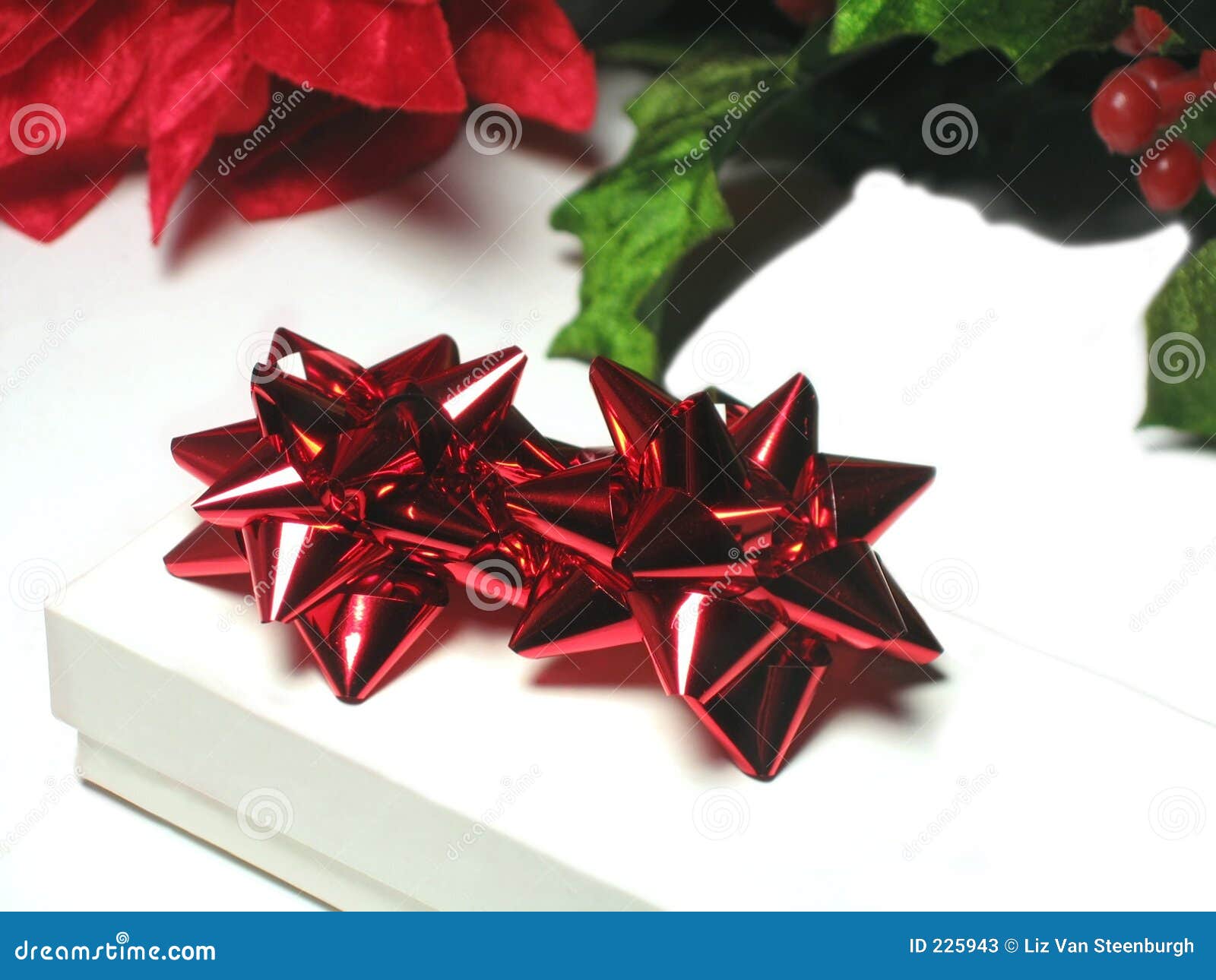 Box with Bows stock image. Image of present, parcel, gift 225943