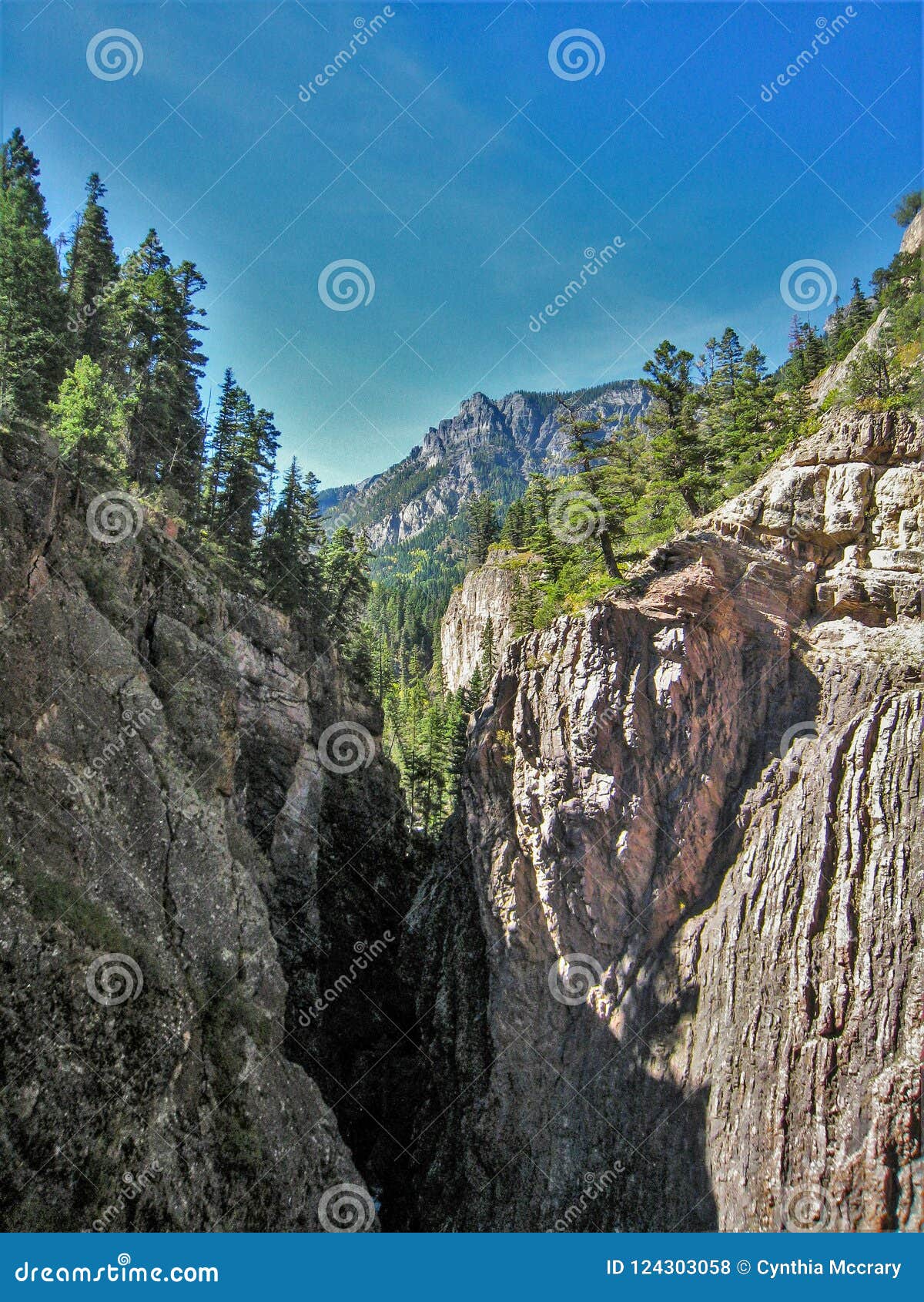 Canyon Canyon