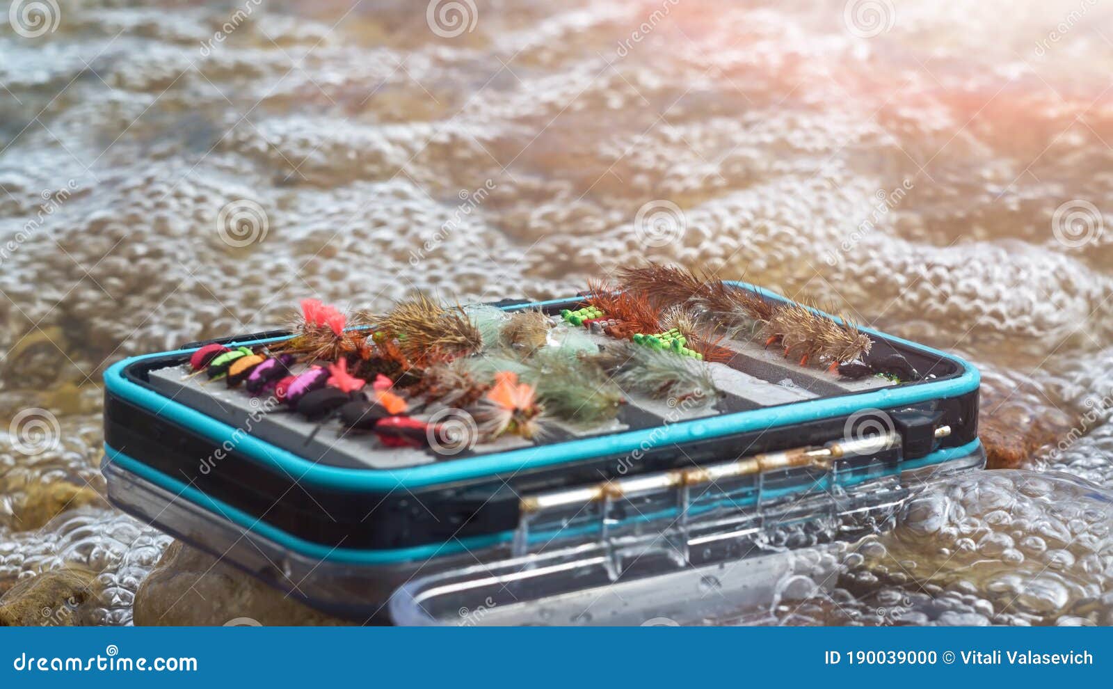 Box with flyflies stock photo. Image of outdoor, insect 190039000