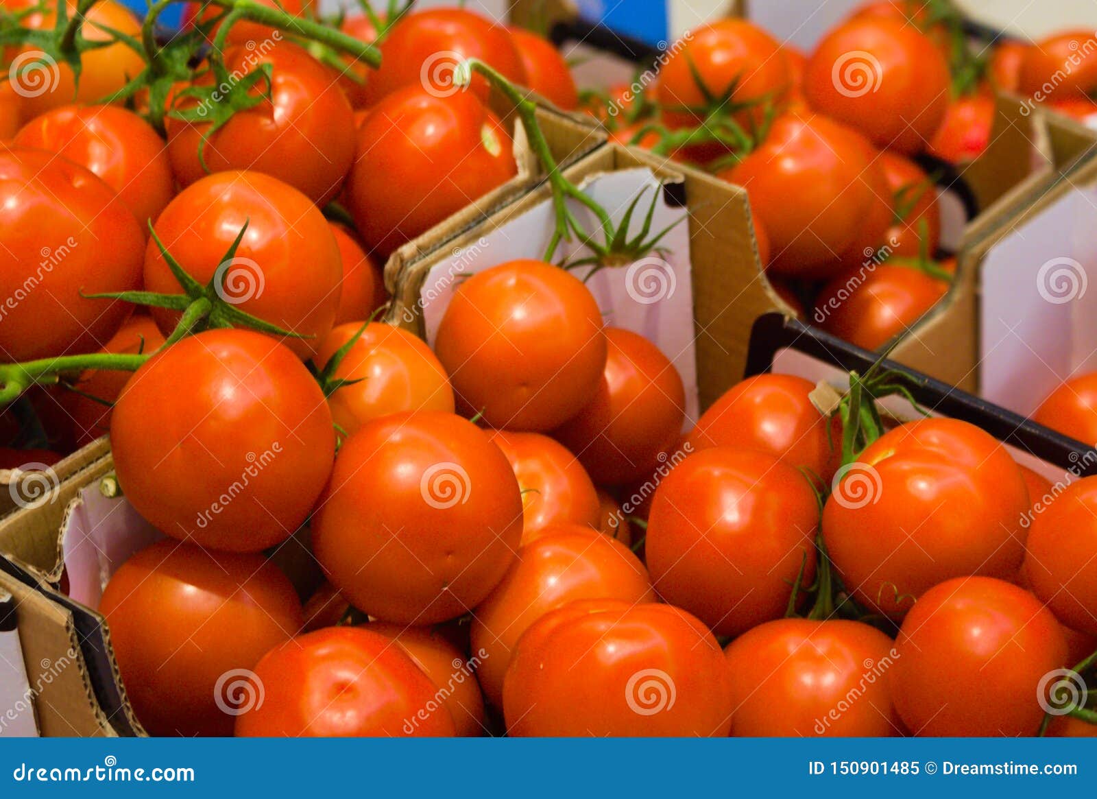 A box of fresh tomatoes stock image. Image of green - 150901485