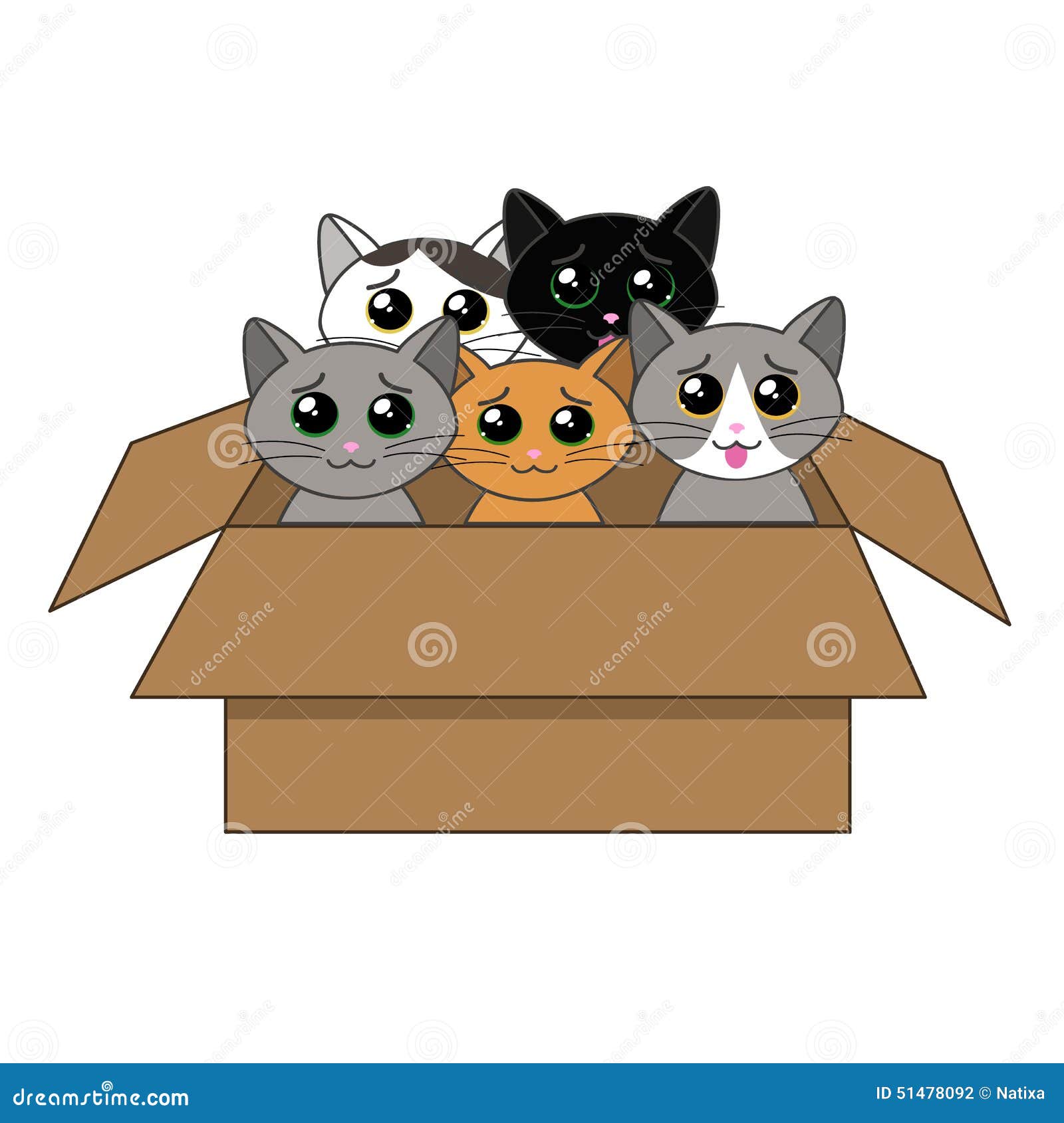 Kittens in a box 2025