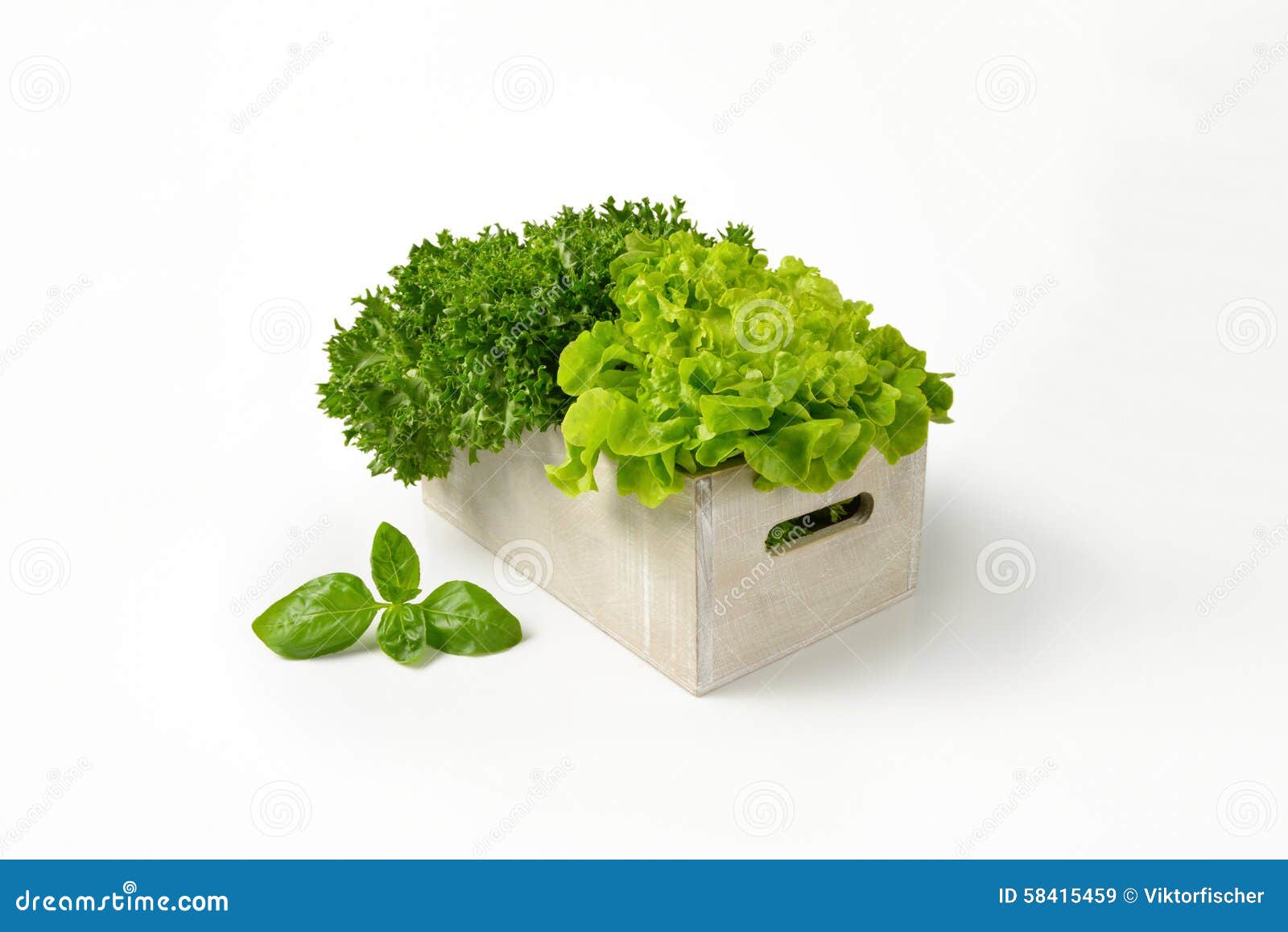 Box of lettuce stock image. Image of fresh, harvest, crop 58415459