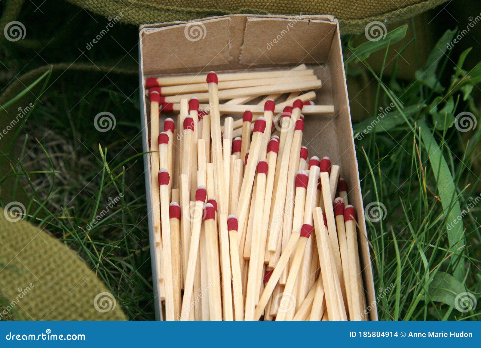 Box of Matches in the Grass Survival Wild Camping Nature Equipment Outdoor Northern Forest Stock Photo - Image of activity, survival: 185804914