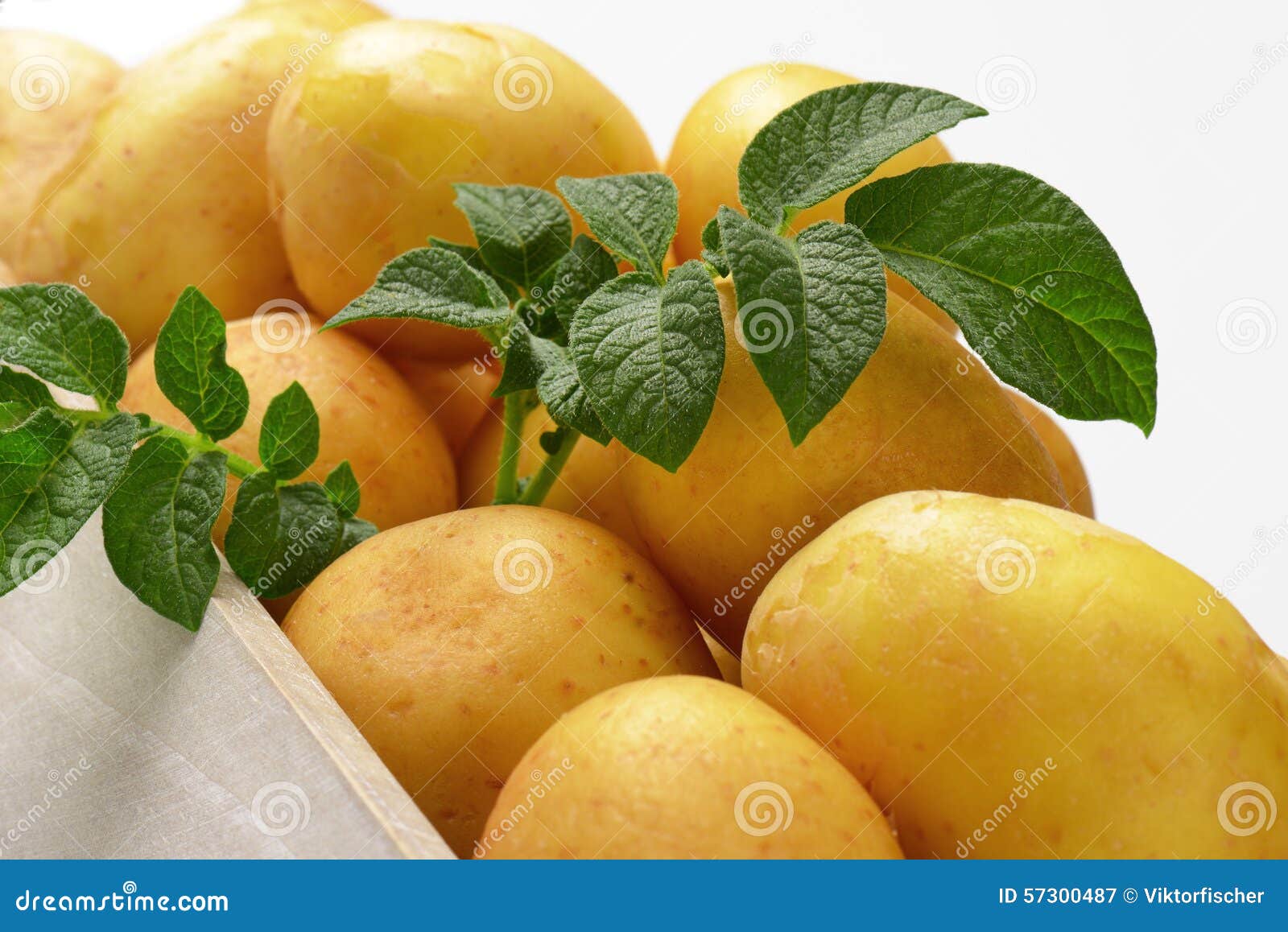 Box of potatoes stock image. Image of harvest, package 57300487