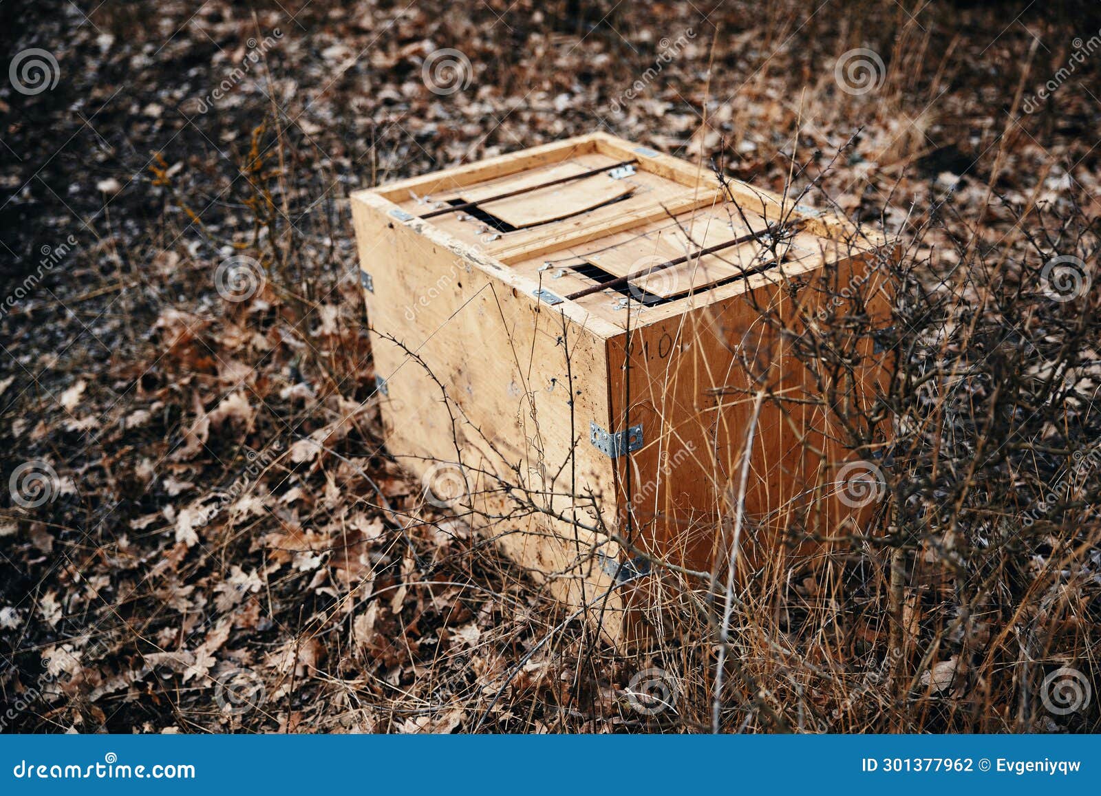 Box for Transporting Game Animals. Container for Relocation of Wild